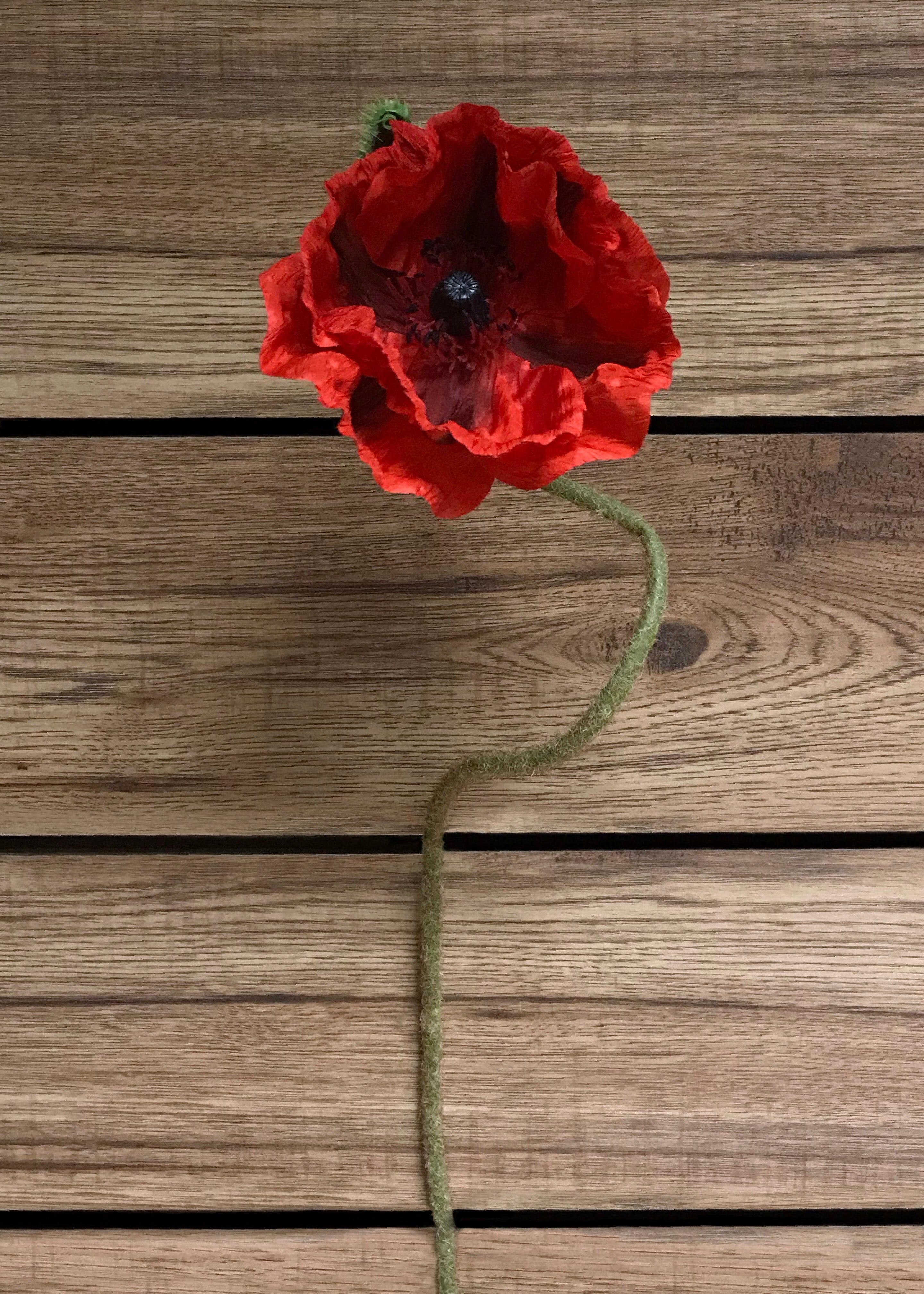 ITEM 00961 R - 31" RED POPPY STEM