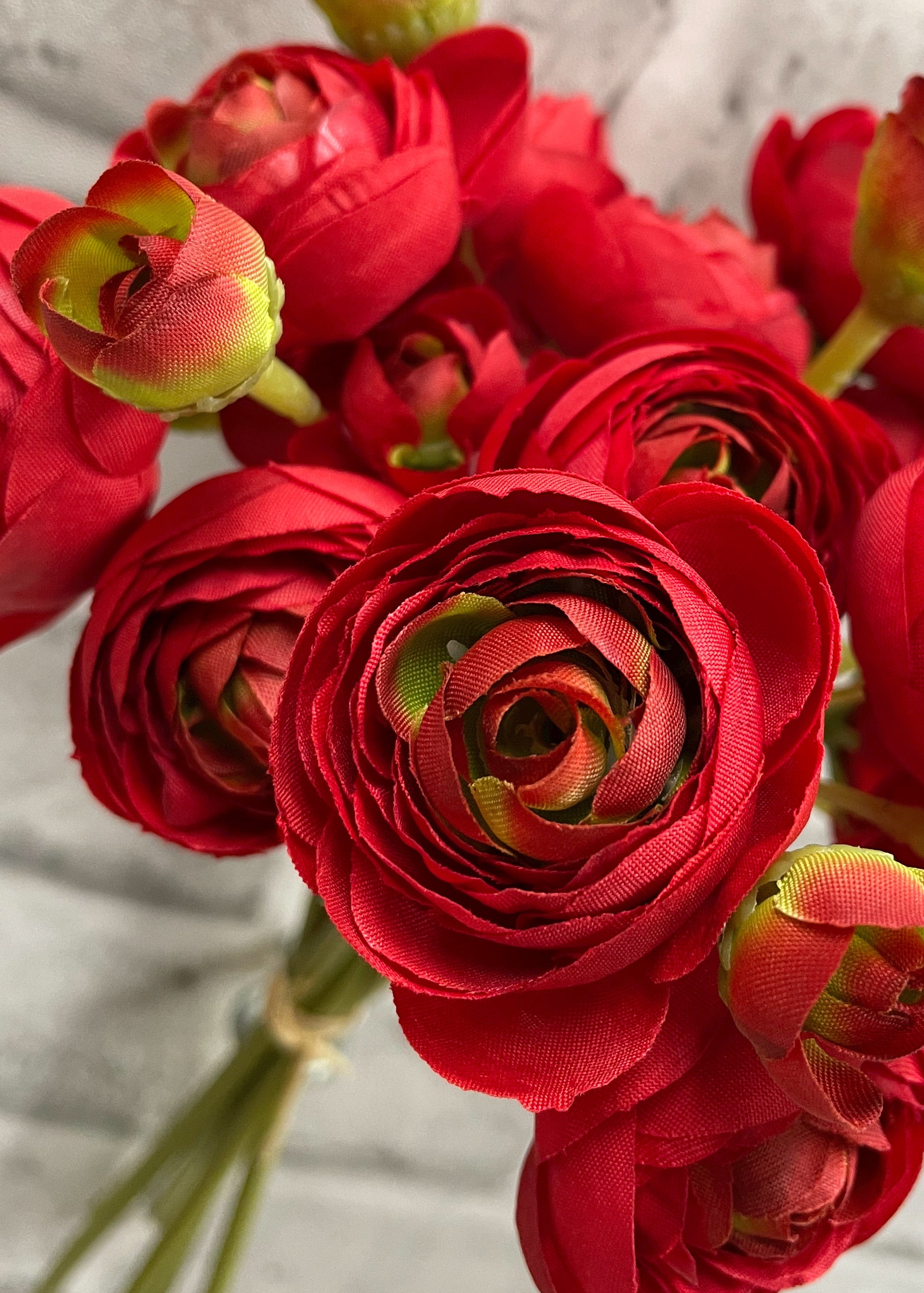 ITEM 00972 RED - 11" RED RANUNCULUS - 6 STEMS PER BUNDLE