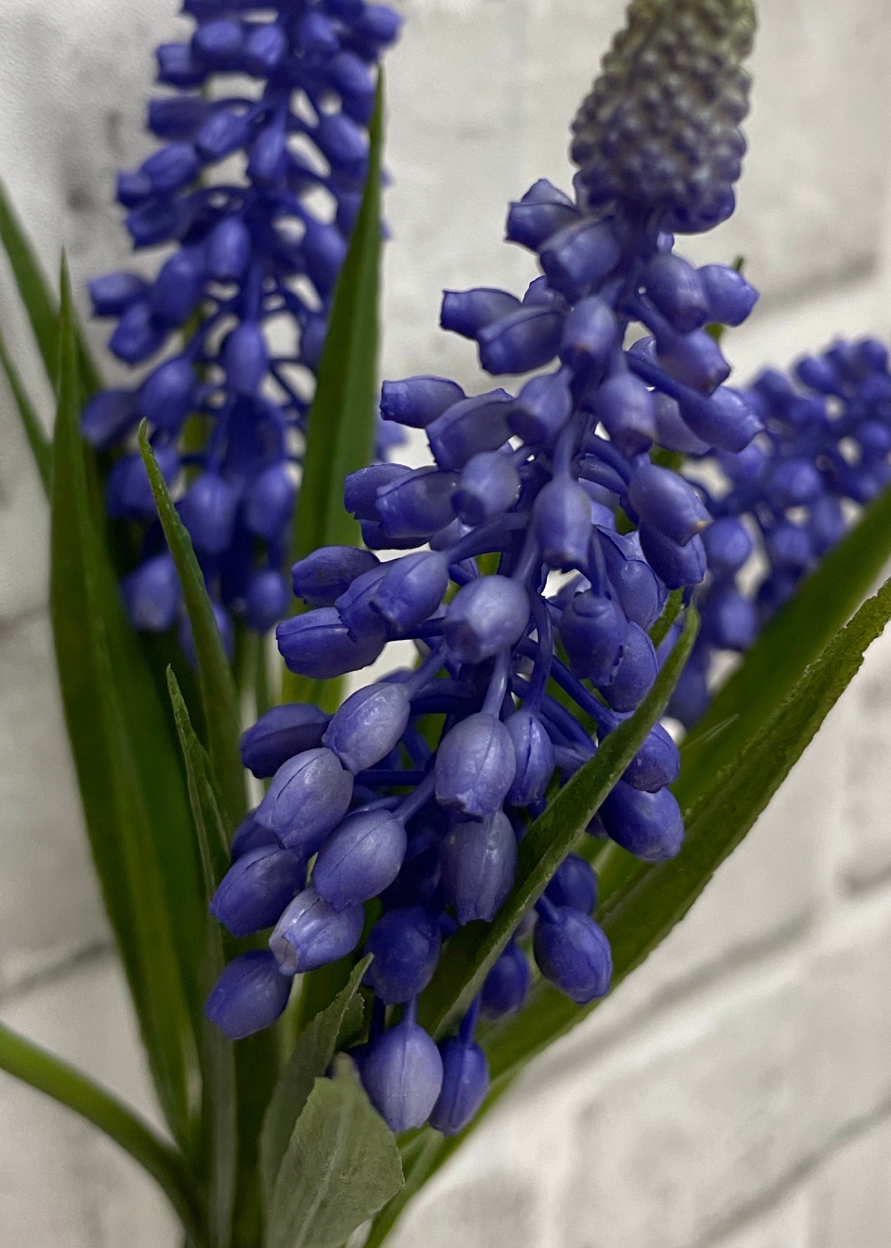 ITEM 00992 PUR - 10.5" PURPLE MUSCARI BUNDLE X 4