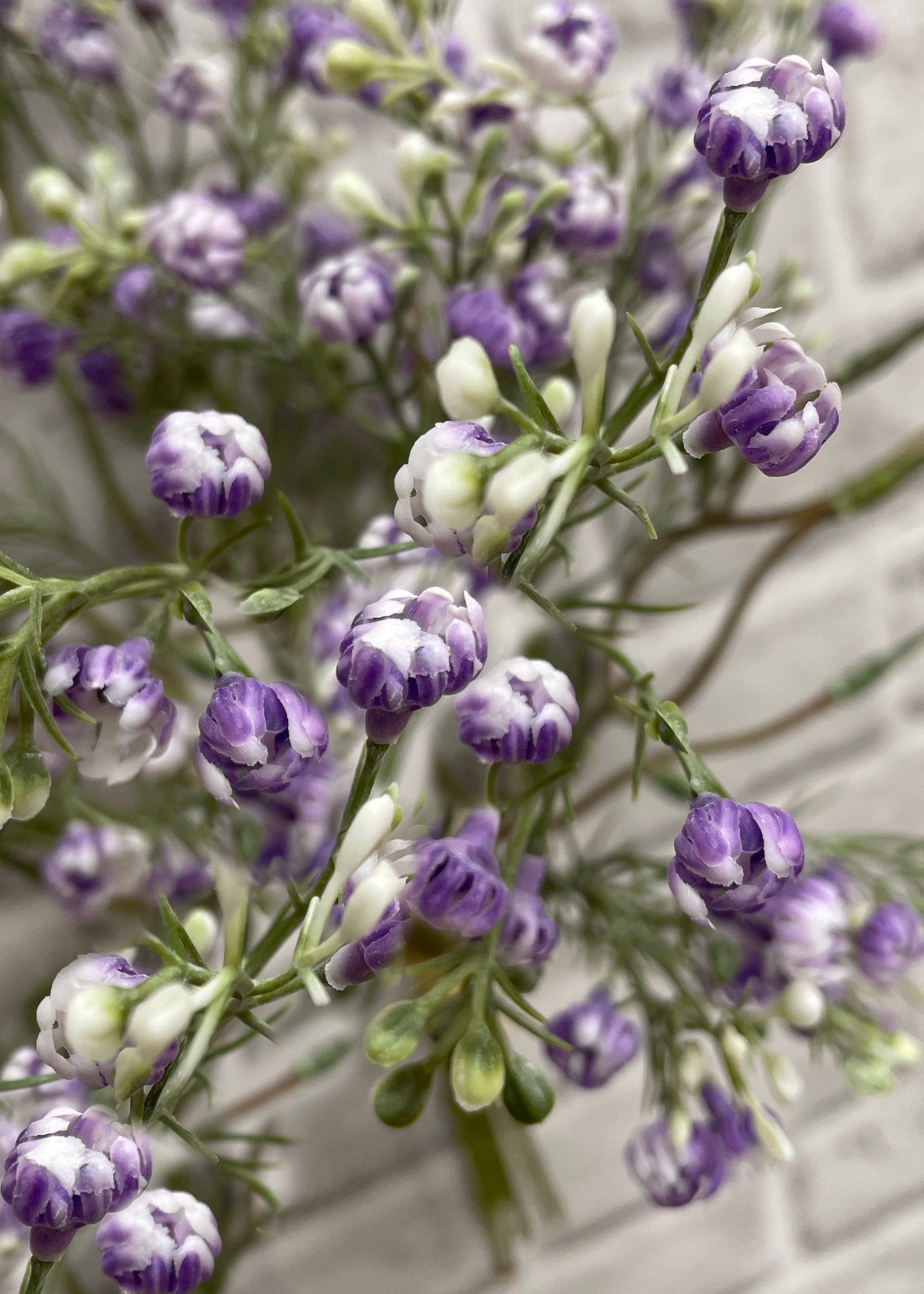 ITEM 00993 LV - 14" LAVENDER BABY'S BREATH BUNDLE X 5