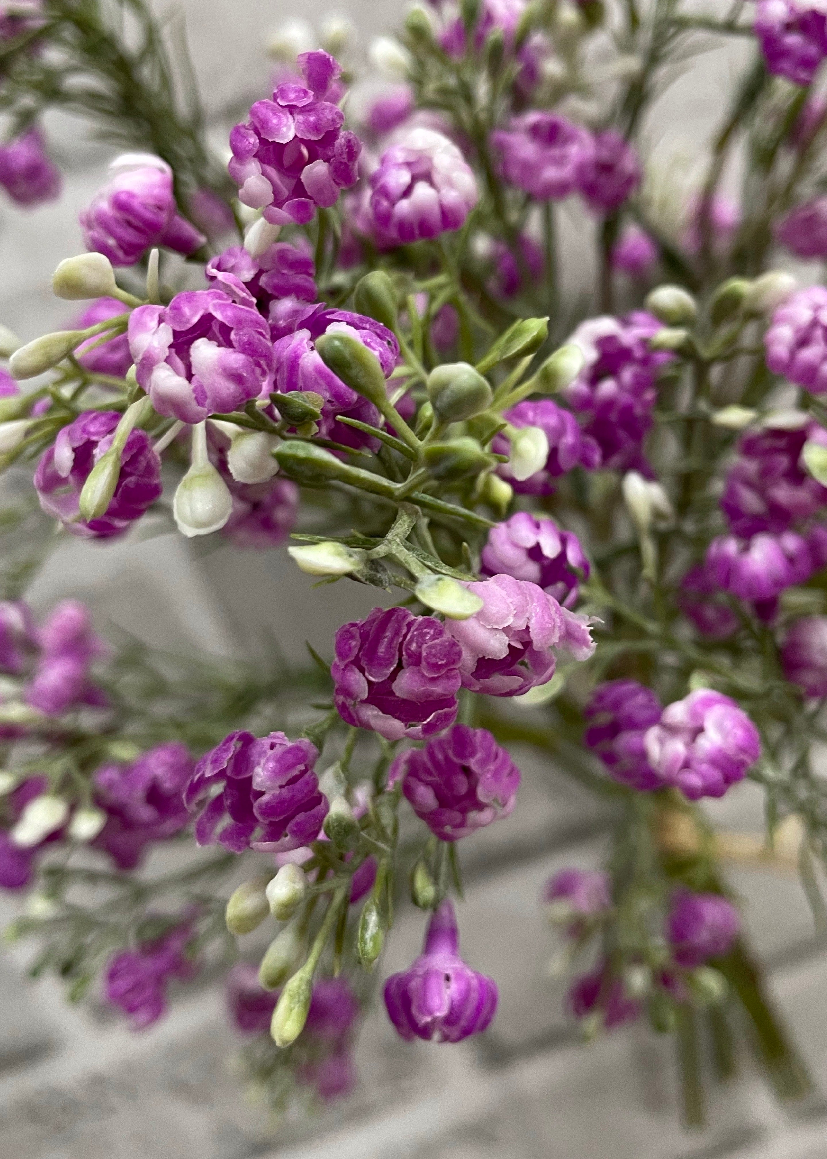 ITEM 00993 MV - 14" MAUVE BABY'S BREATH BUNDLE X 5