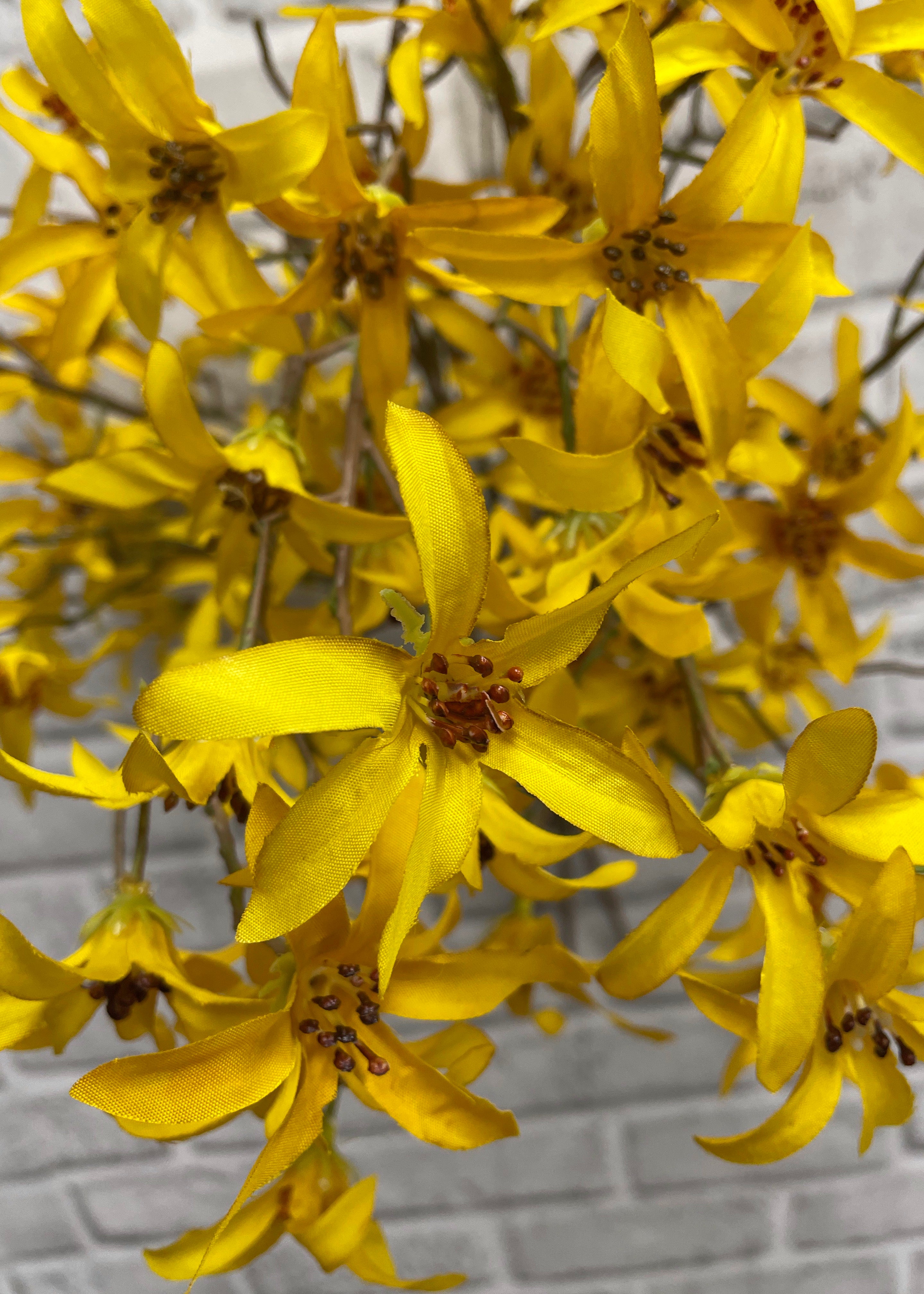 ITEM 00994 Y - 21" YELLOW FORSYTHIA BUNDLE X 3