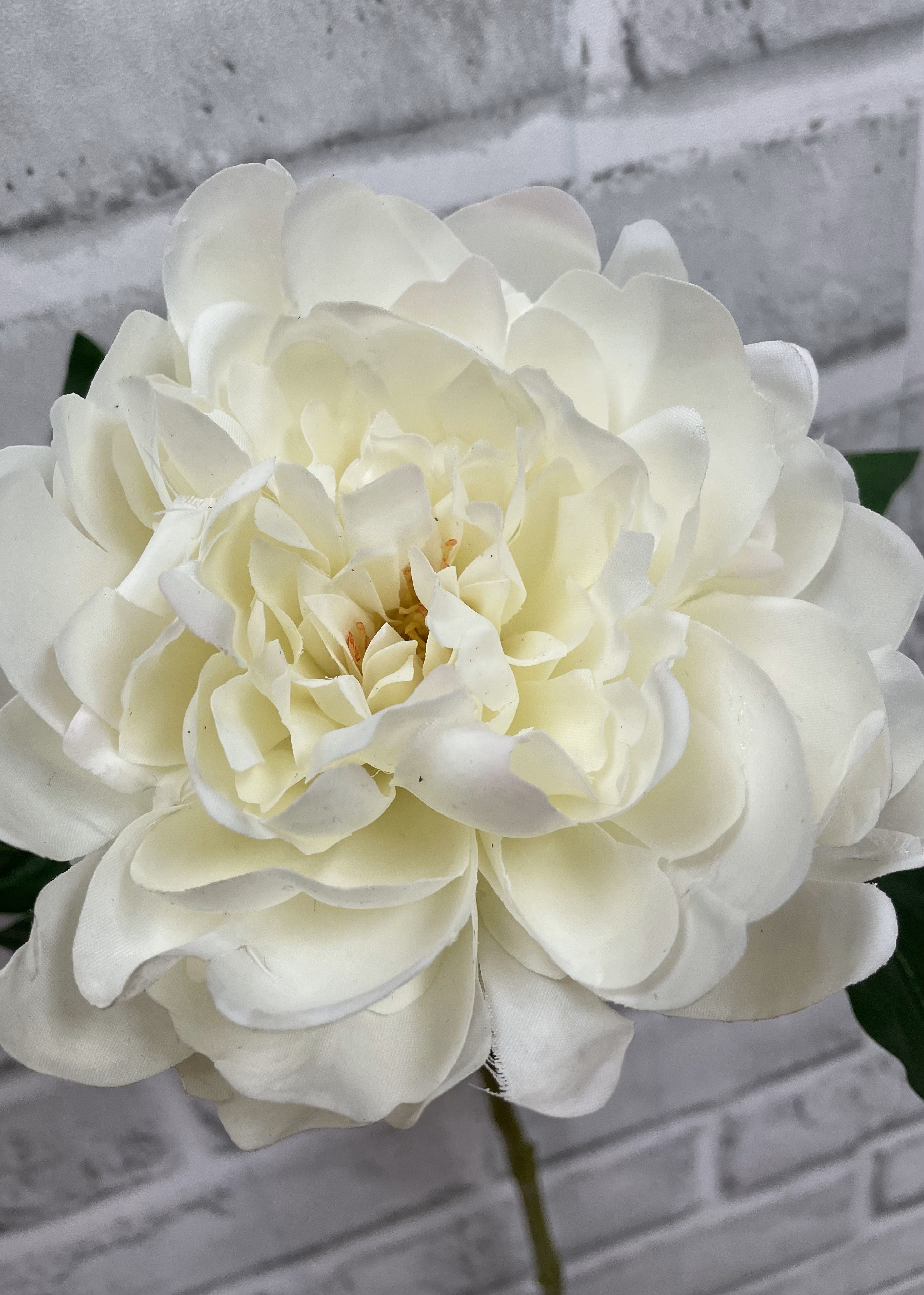 ITEM 01007 CREAM - 23" CREAM FRESH TOUCH PEONY STEM
