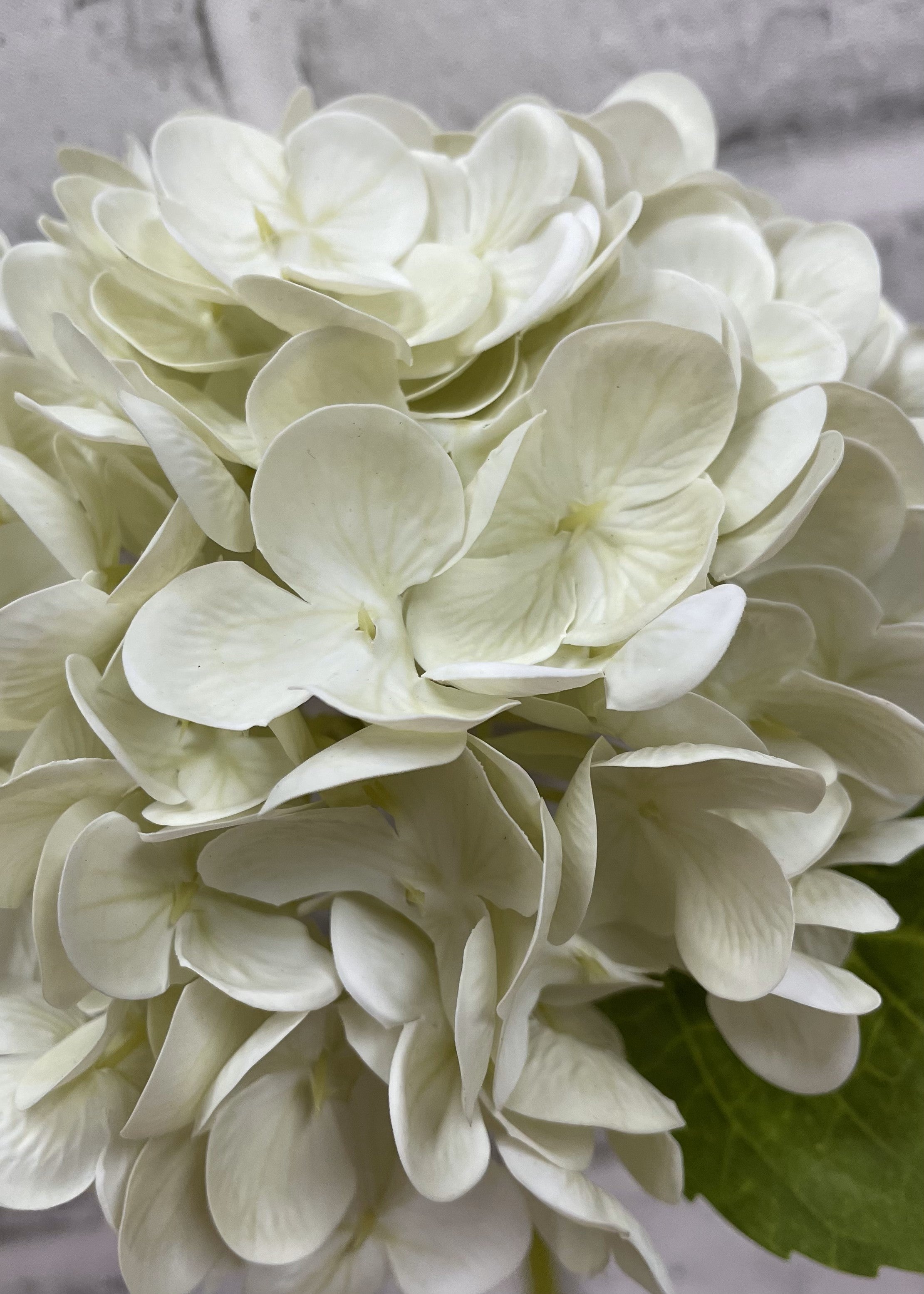 ITEM 01008 CMGR - 12" CREAM GREEN FRESH TOUCH HYDRANGEA STEM