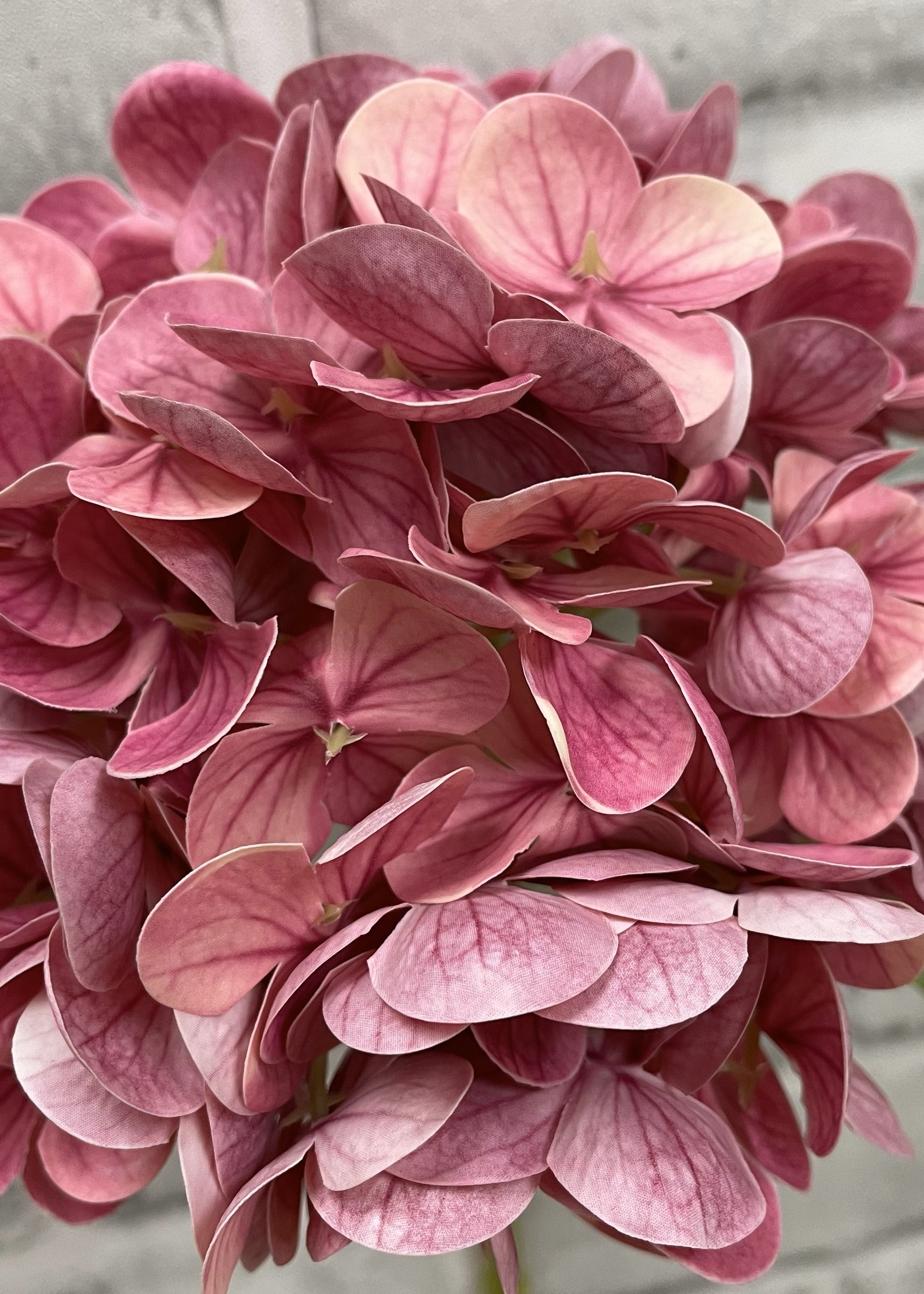 ITEM 01008 ROSE - 12" ROSE FRESH TOUCH HYDRANGEA STEM