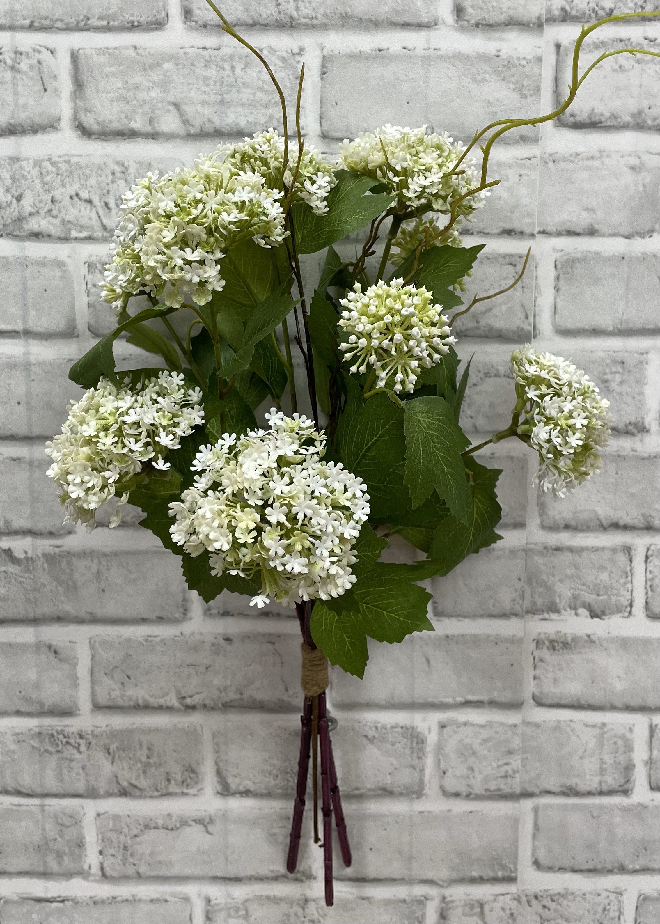 ITEM 01014 W - 25" WHITE SNOWBALL BUNDLE