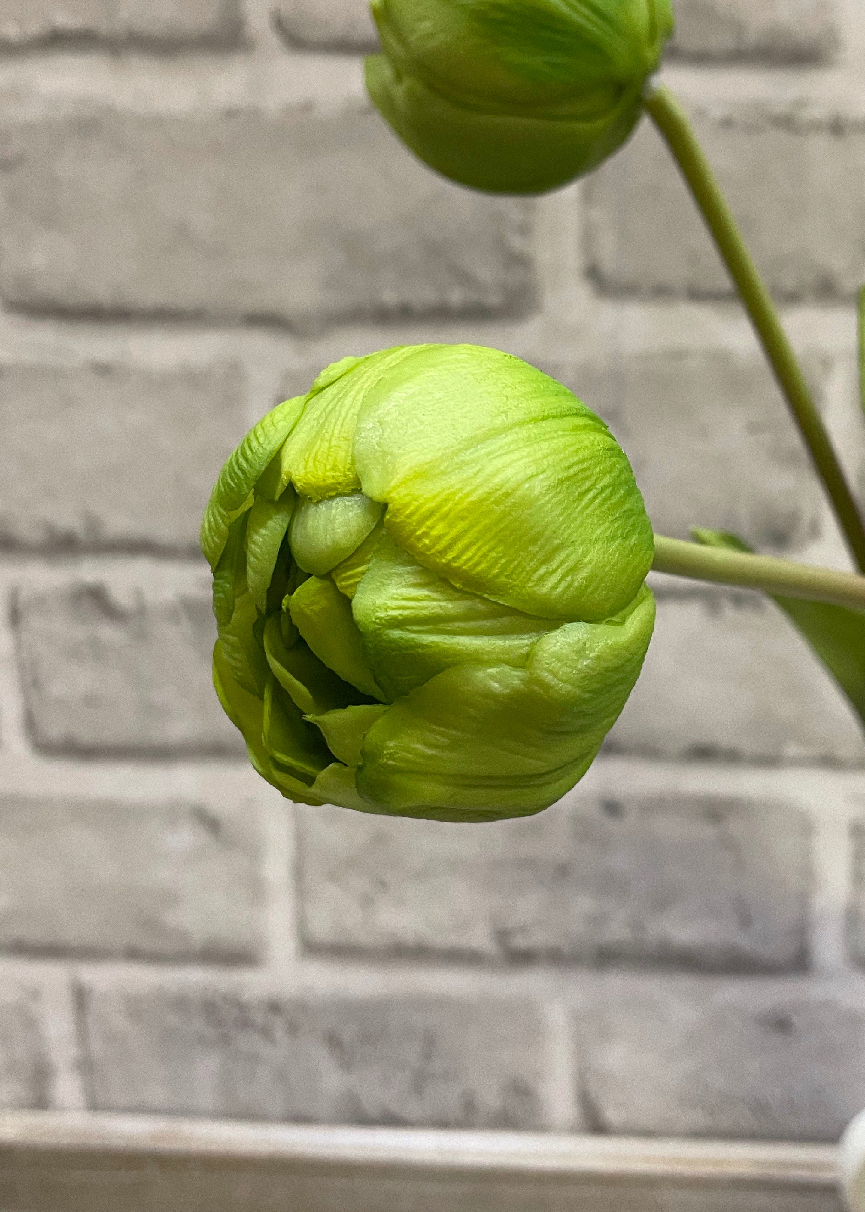 ITEM 10183 GR - 18" FRESH TOUCH GREEN DOUBLE PEONY TULIP BUNDLE (3 FLOWERS AND 2 BUDS TO A BUNDLE)