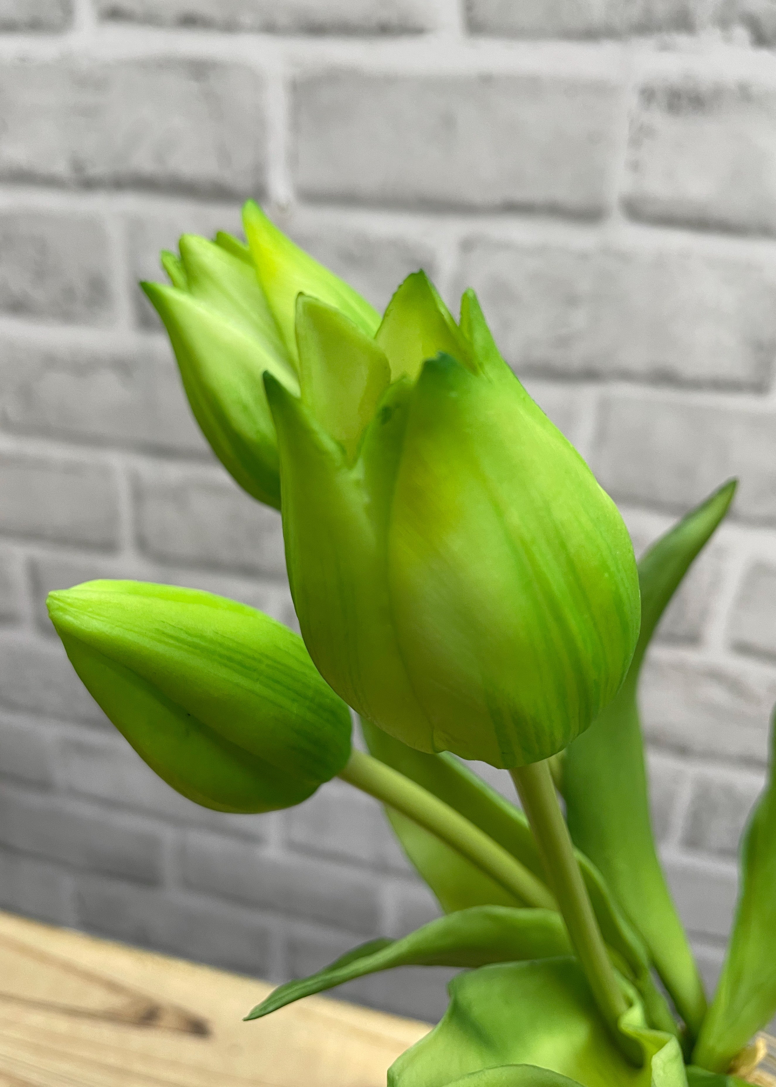 ITEM 10187 GR - 10" FRESH TOUCH MINI WILD GREEN TULIP BUNDLE (3 FLOWERS & 2 BUDS TO A BUNDLE)
