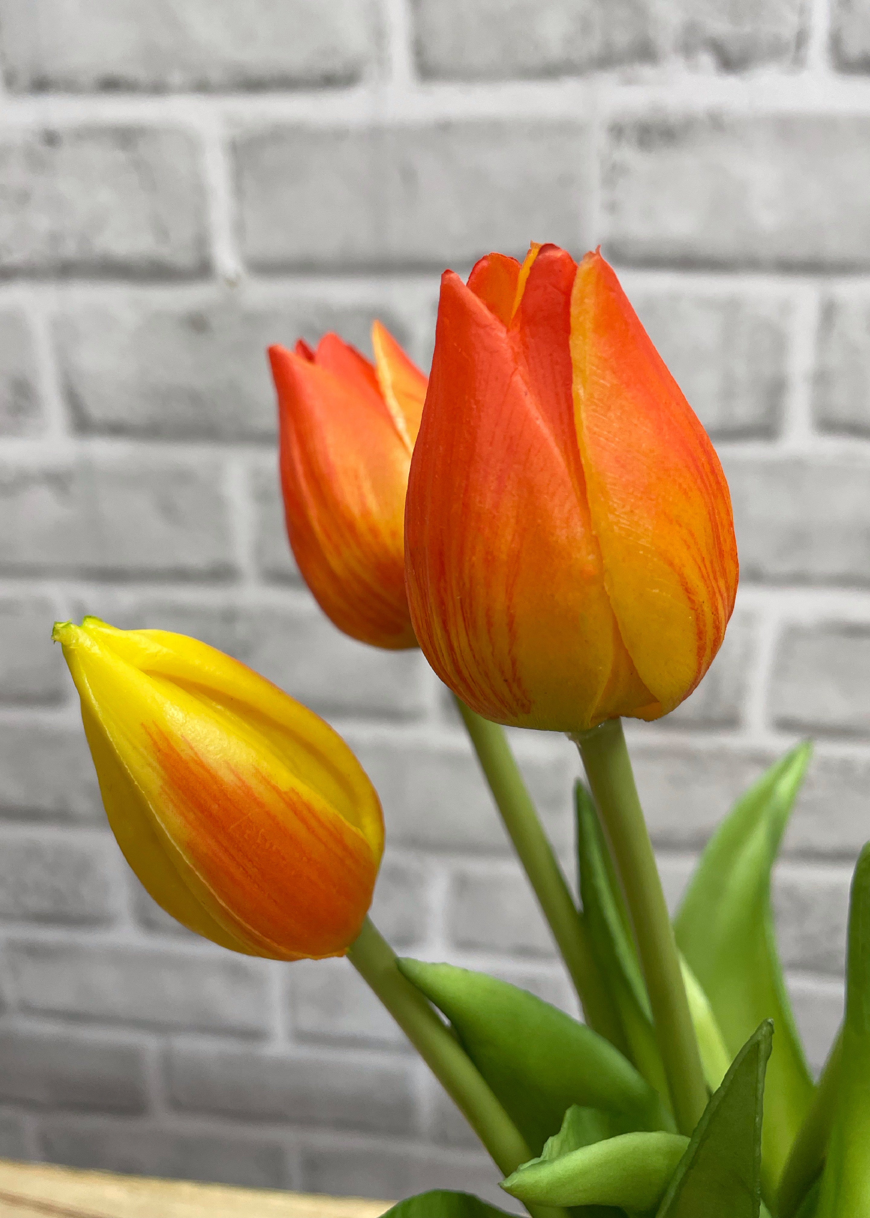 ITEM 10187 O - 10" FRESH TOUCH MINI WILD ORANGE TULIP BUNDLE (3 FLOWERS & 2 BUDS TO A BUNDLE)