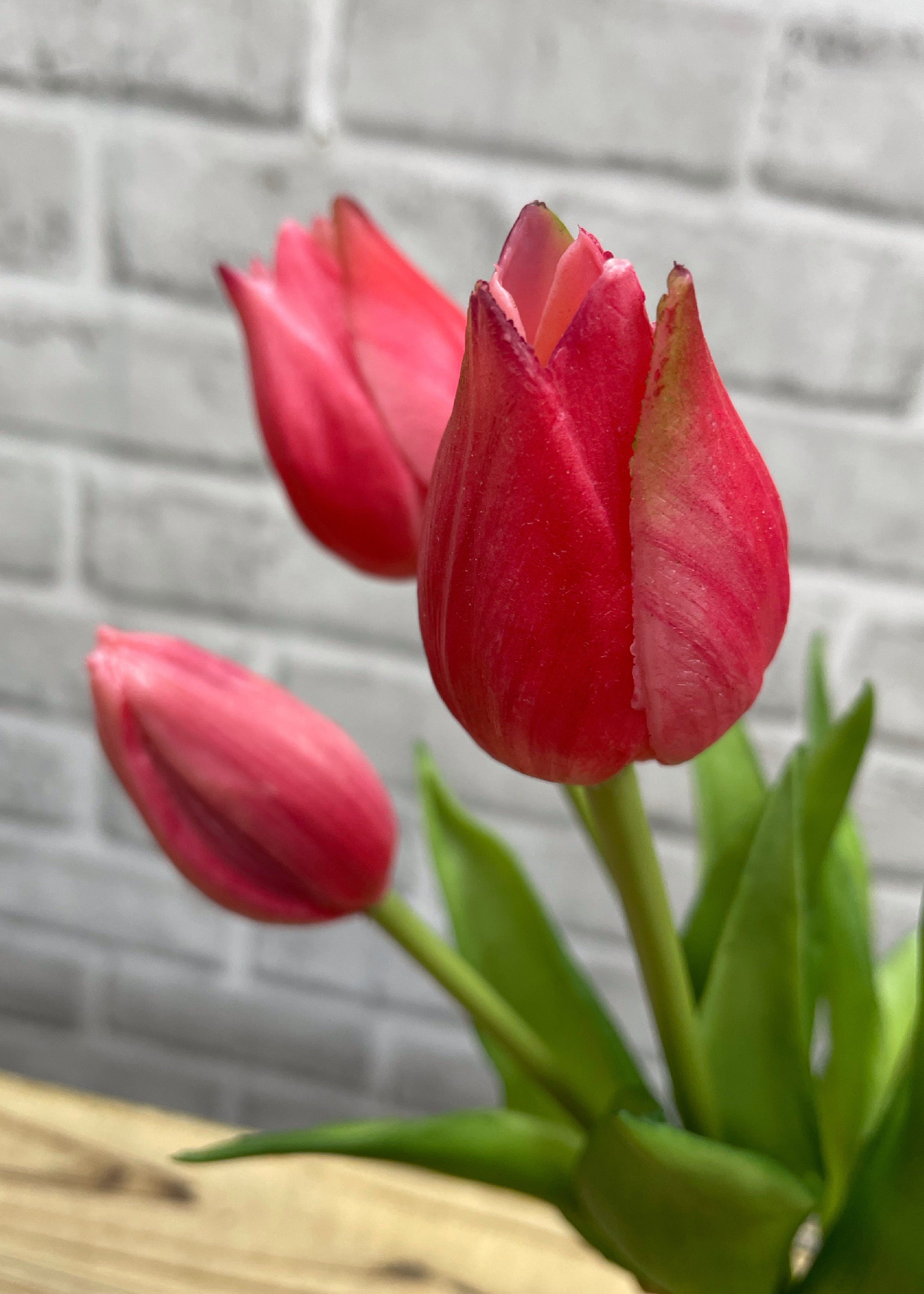 ITEM 10187 ROSE - 10" FRESH TOUCH MINI WILD ROSE TULIP BUNDLE (3 FLOWERS & 2 BUDS TO A BUNDLE)