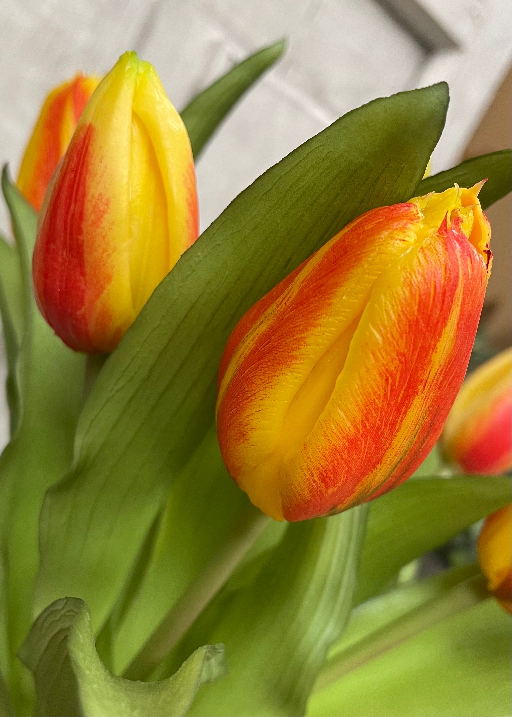 ITEM 10194 O(AVAILABLE) - 12" FRESH TOUCH ORANGE FORMOSA TULIP BUNDLE (4 FLOWERS & 3 BUDS TO A BUNDLE)