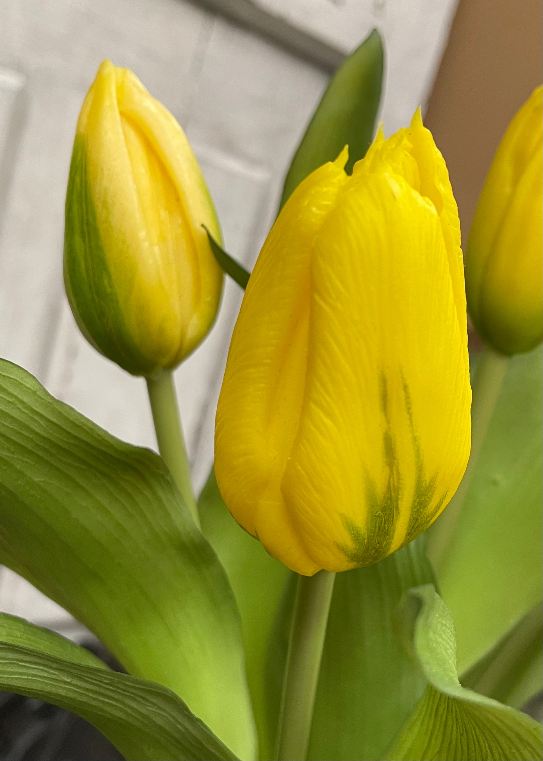 ITEM 10194 Y - 12" FRESH TOUCH YELLOW FORMOSA TULIP BUNDLE (4 FLOWERS & 3 BUDS TO A BUNDLE)