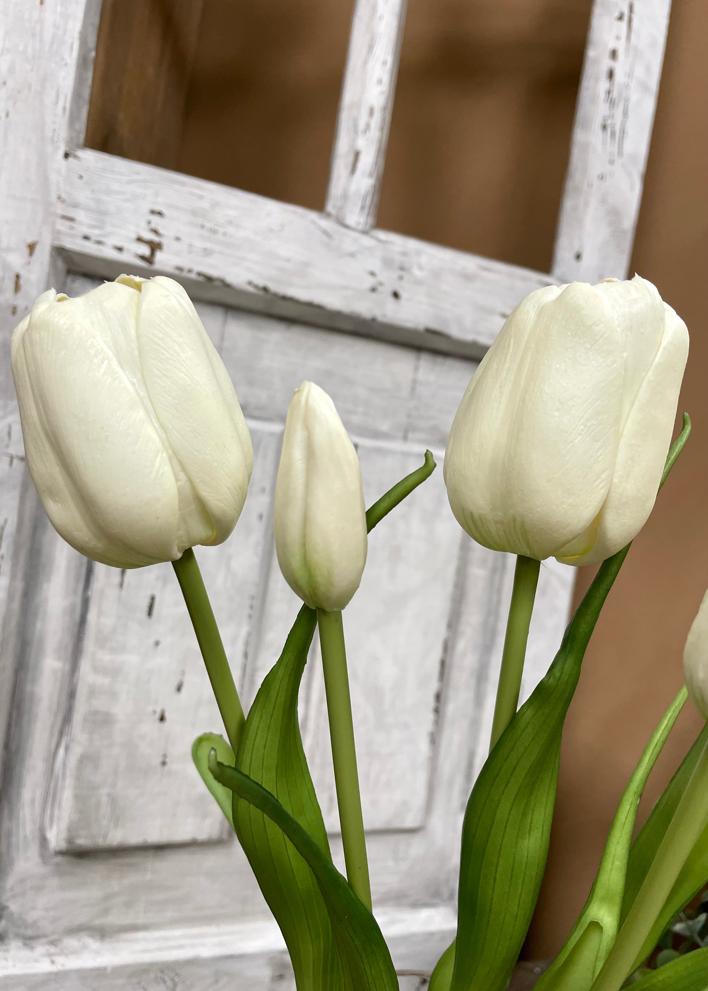 ITEM 10196 W(AVAILABLE) - 18" FRESH TOUCH WHITE DAY DREAM TULIP BUNDLE (3 FLOWERS & 2 BUDS TO A BUNDLE)