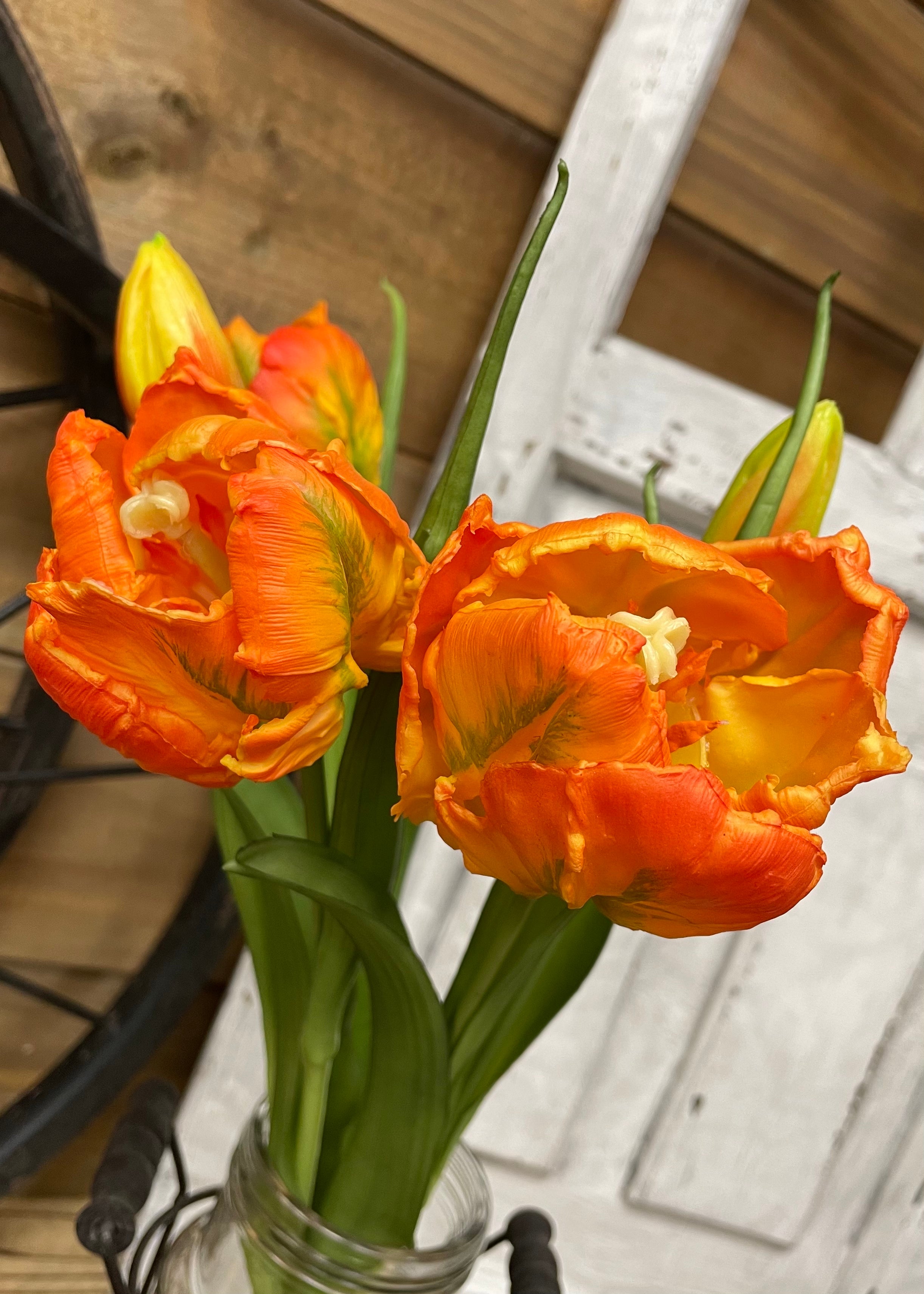 ITEM 10199 O - 16" FRESH TOUCH ORANGE/GREEN TULIPA PARROT TULIP BUNDLE (3 FLOWERS & 2 BUDS TO A BUNDLE)