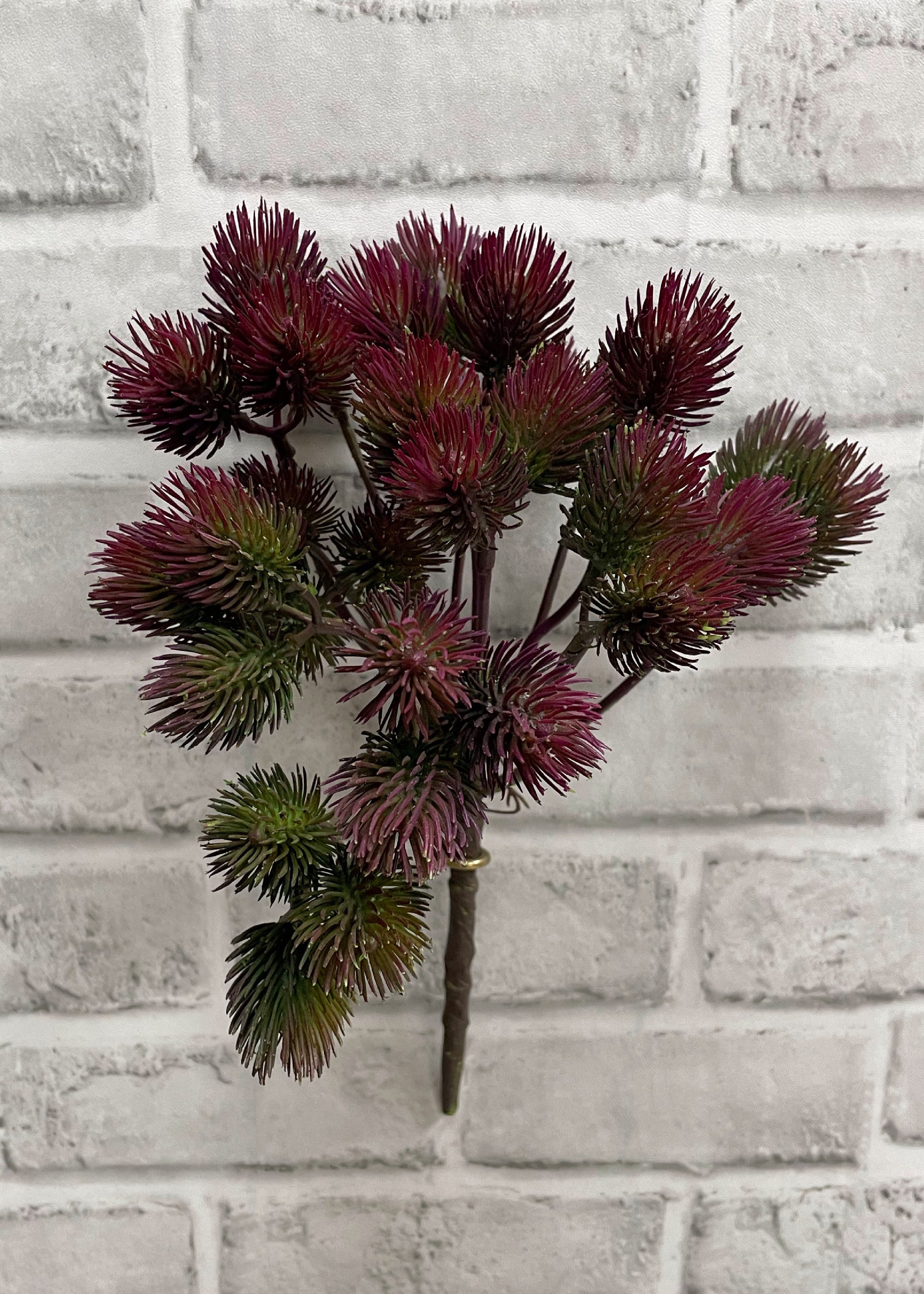 ITEM 11462 BURGR - 11.5" BURGUNDY GREEN THISTLE BUSH