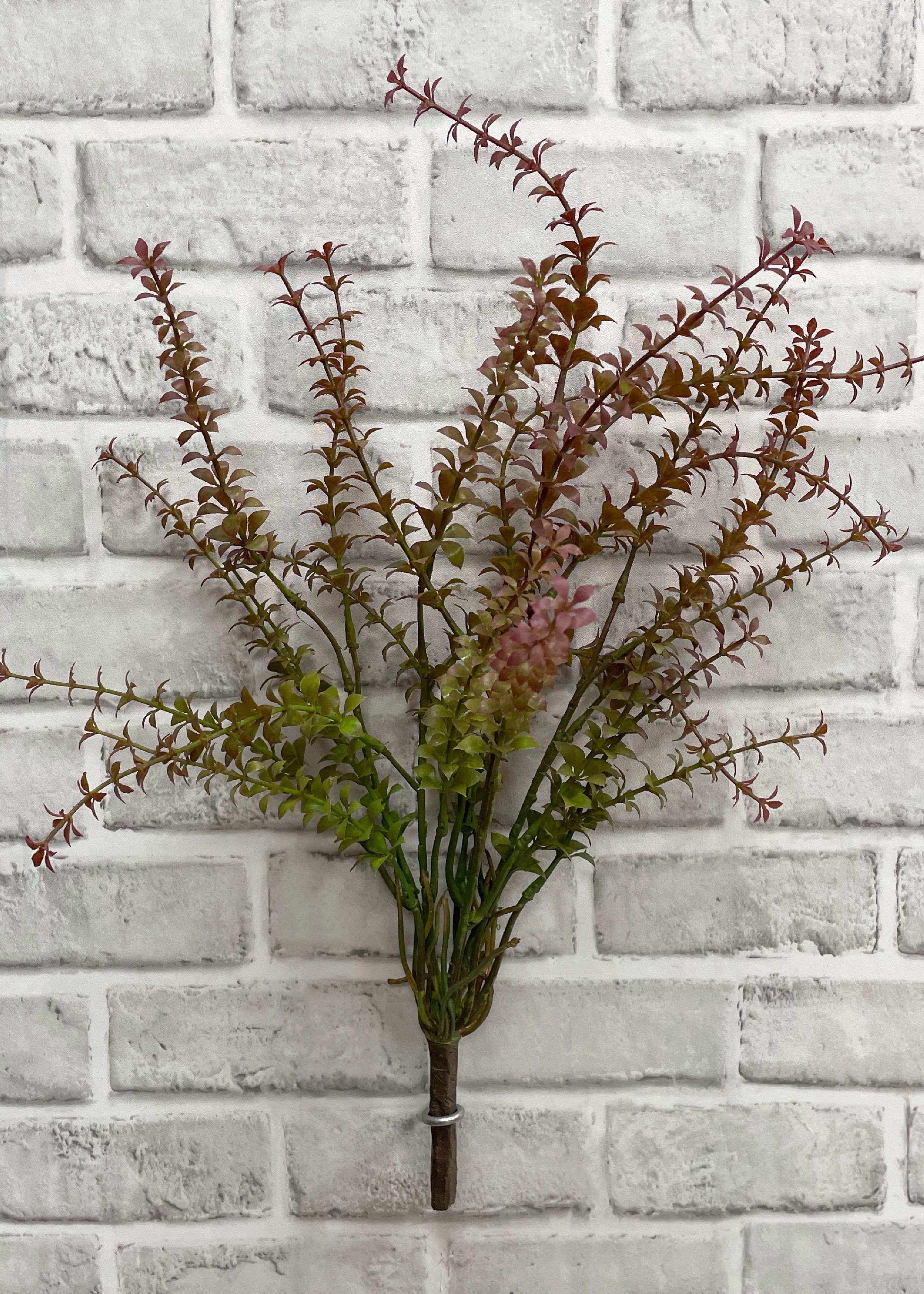 ITEM 11464 BURGR - 19.5" BURGUNDY GREEN STONE CROP BUSH