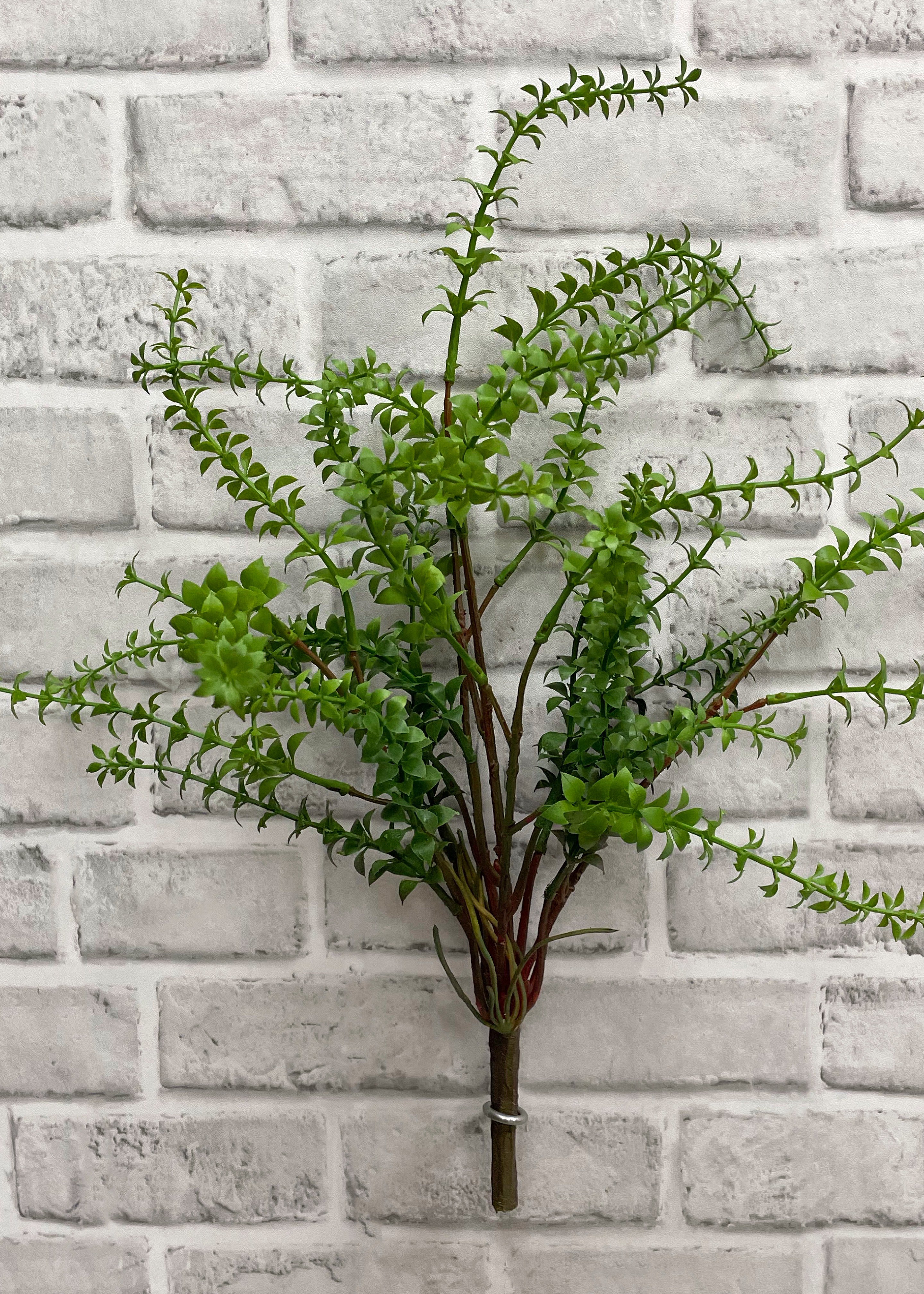 ITEM 11464 GR - 19.5" GREEN STONE CROP BUSH