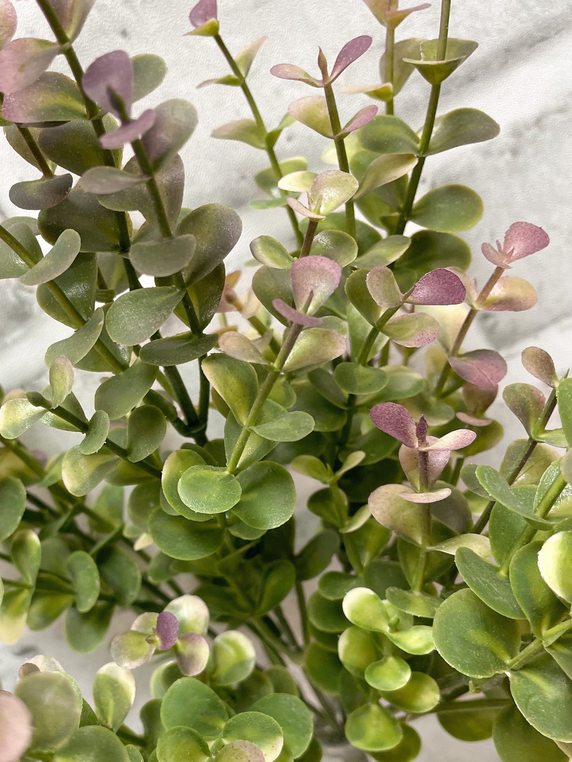 ITEM 11540 - 10" BURGUNDY GREEN EUCALYPTUS BUSH