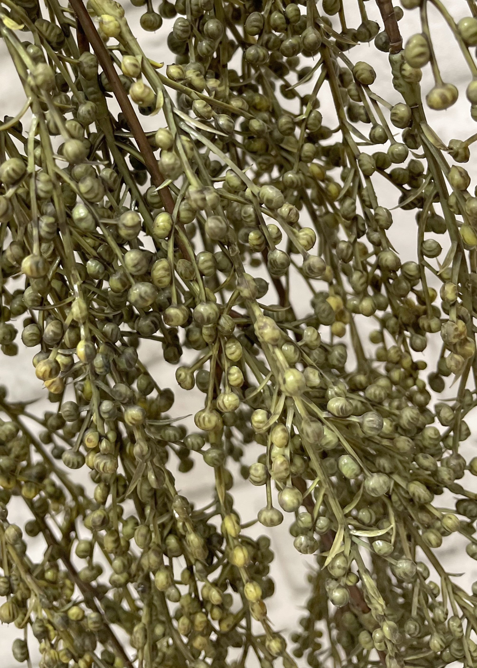 ITEM 11544 GR - 31" GREEN PEPPERBERRIES HANGING VINE BUSH