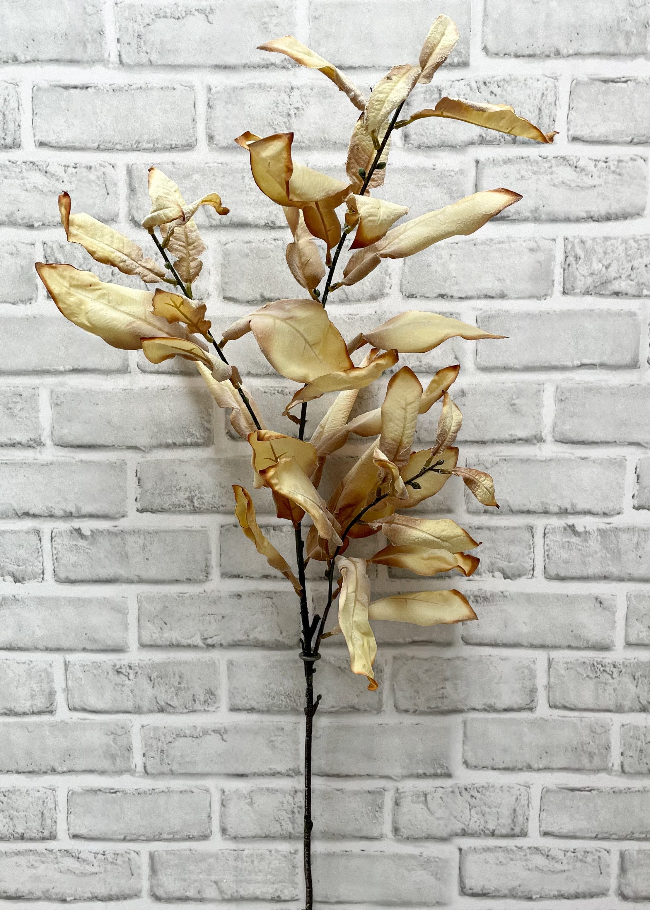 ITEM 11556 CM - 38" CREAM DRIED LOOK LEAVES SPRAY
