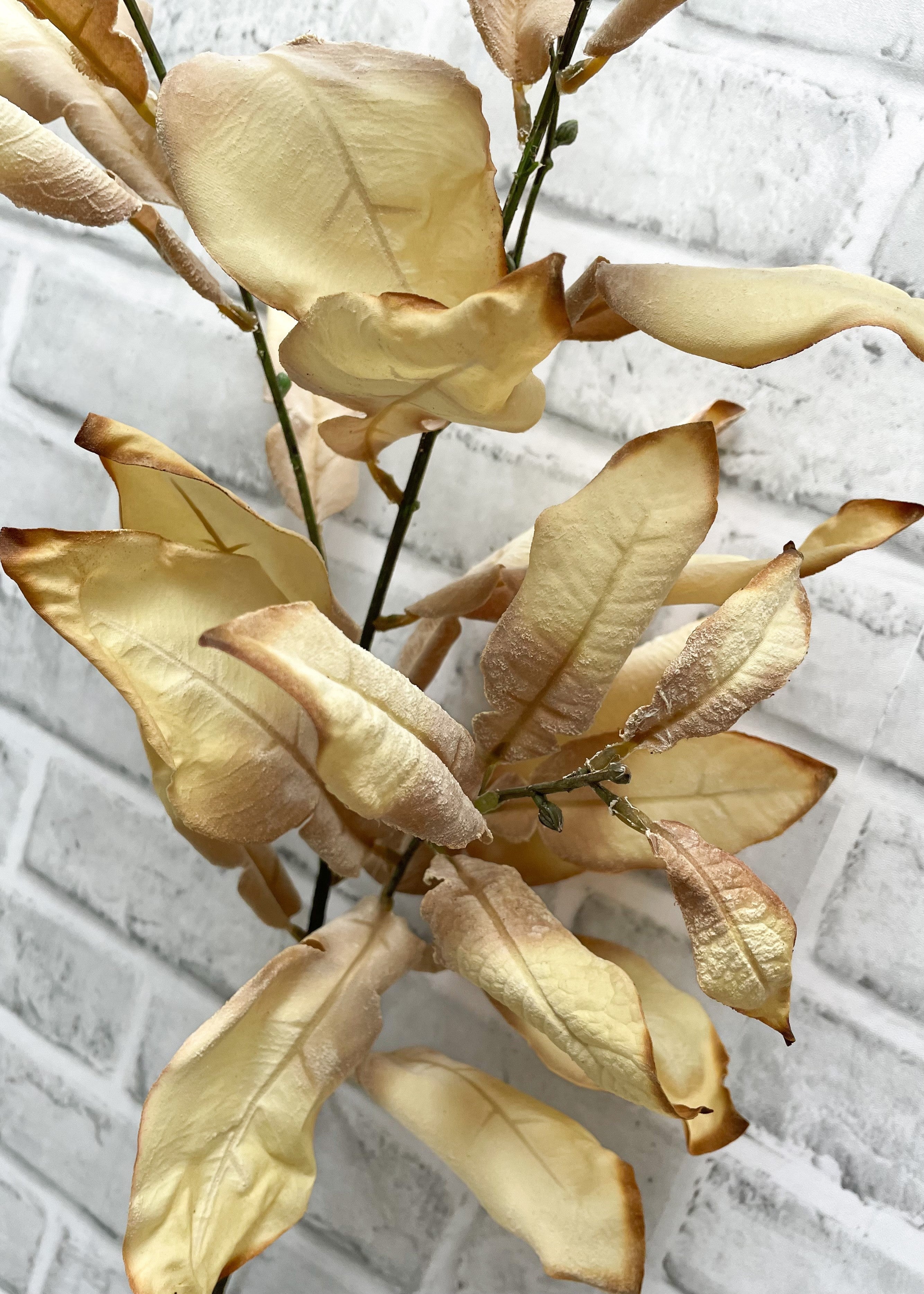 ITEM 11556 CM - 38" CREAM DRIED LOOK LEAVES SPRAY