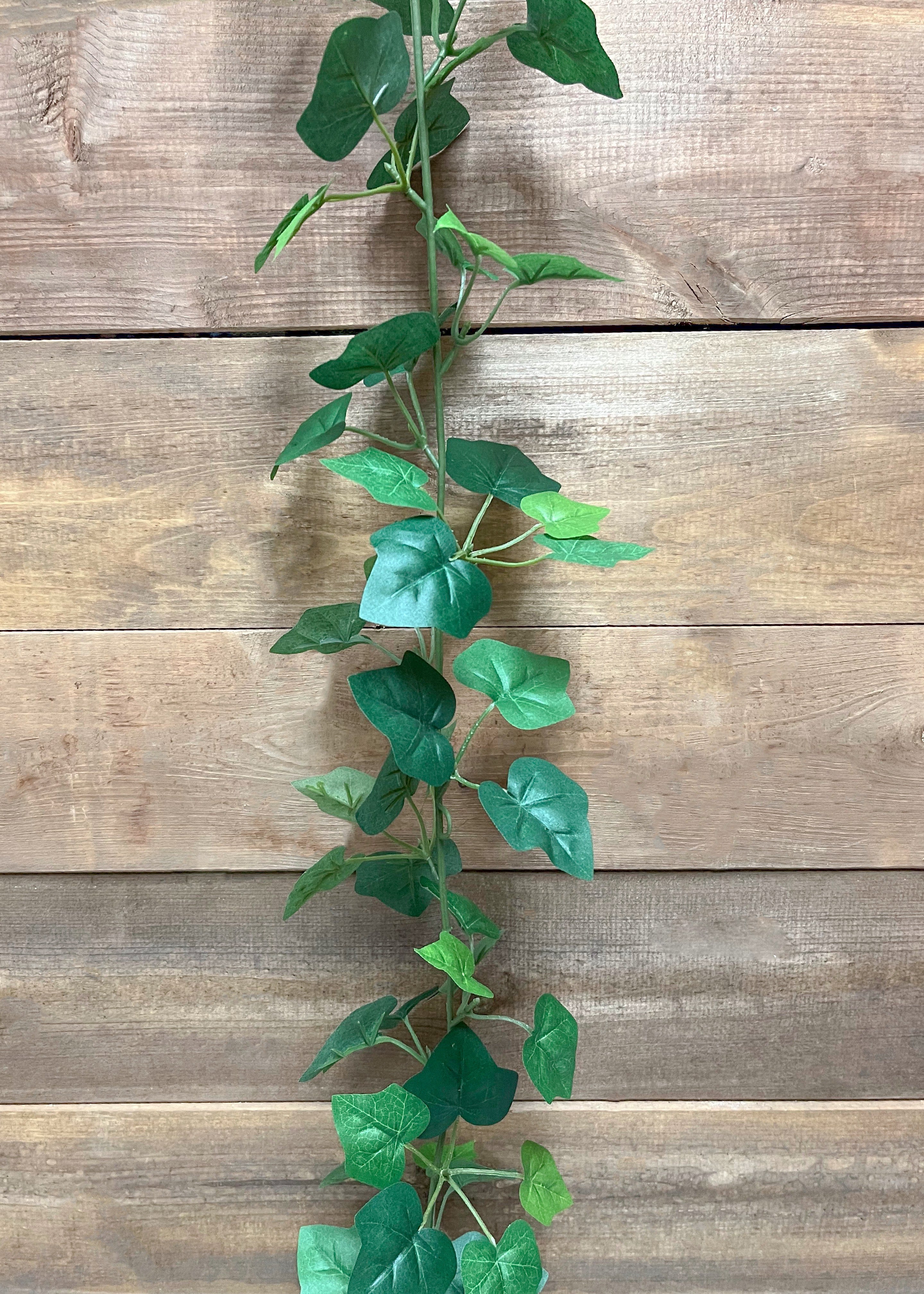 ITEM 12261 - 72" GREEN IVY GARLAND