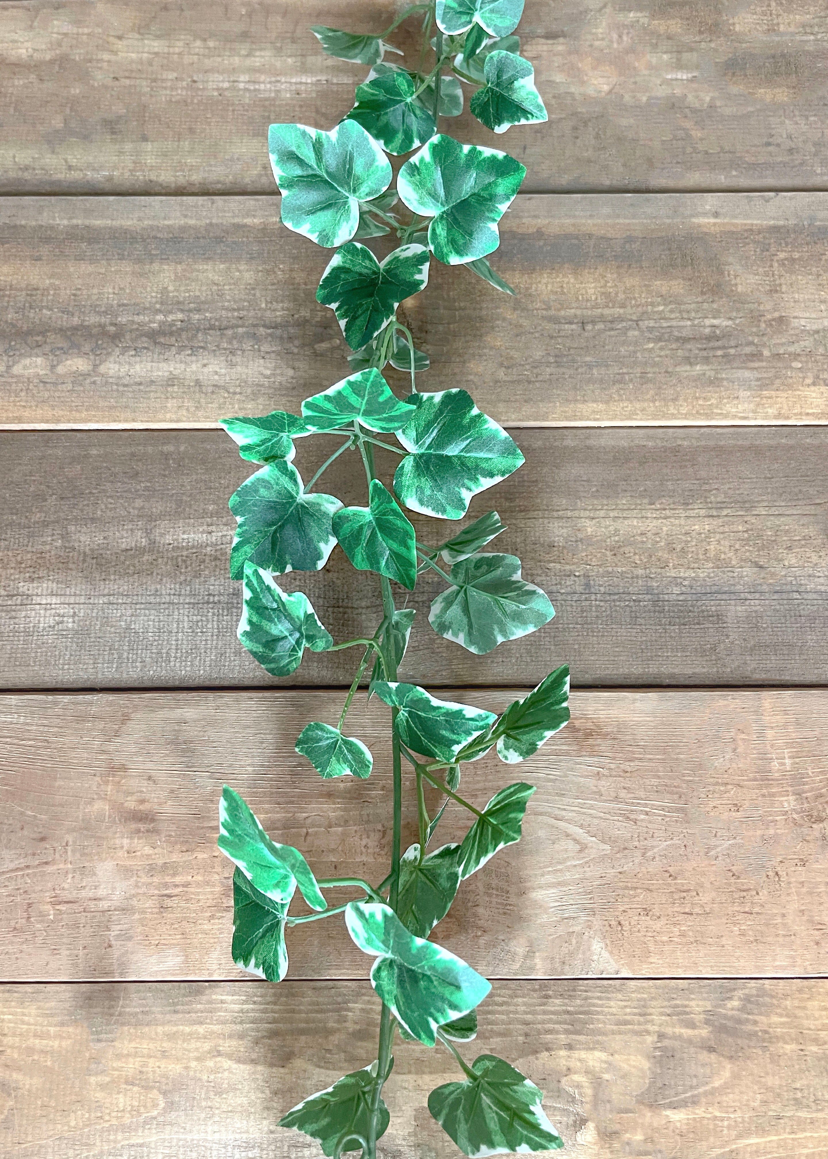 ITEM 12262 - 72" WHITE GREEN IVY GARLAND