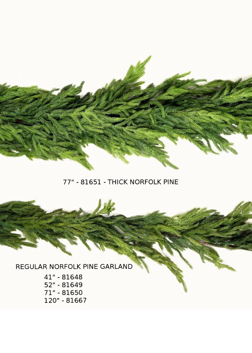 ITEM 81651 - 77” FRESH TOUCH THICK NORFOLK PINE GARLAND