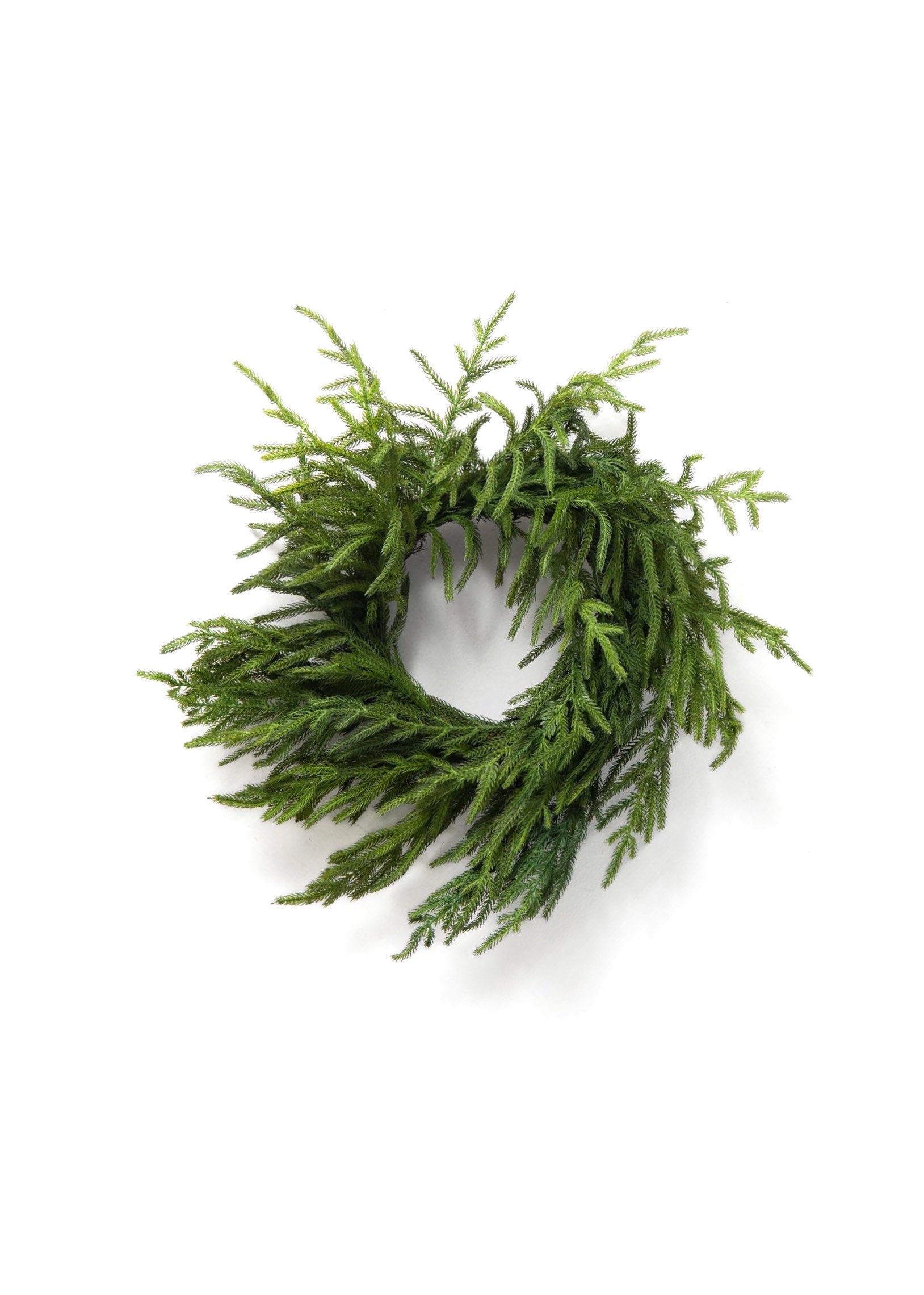 ITEM 81656 - 16" FRESH TOUCH NORFOLK PINE WREATH