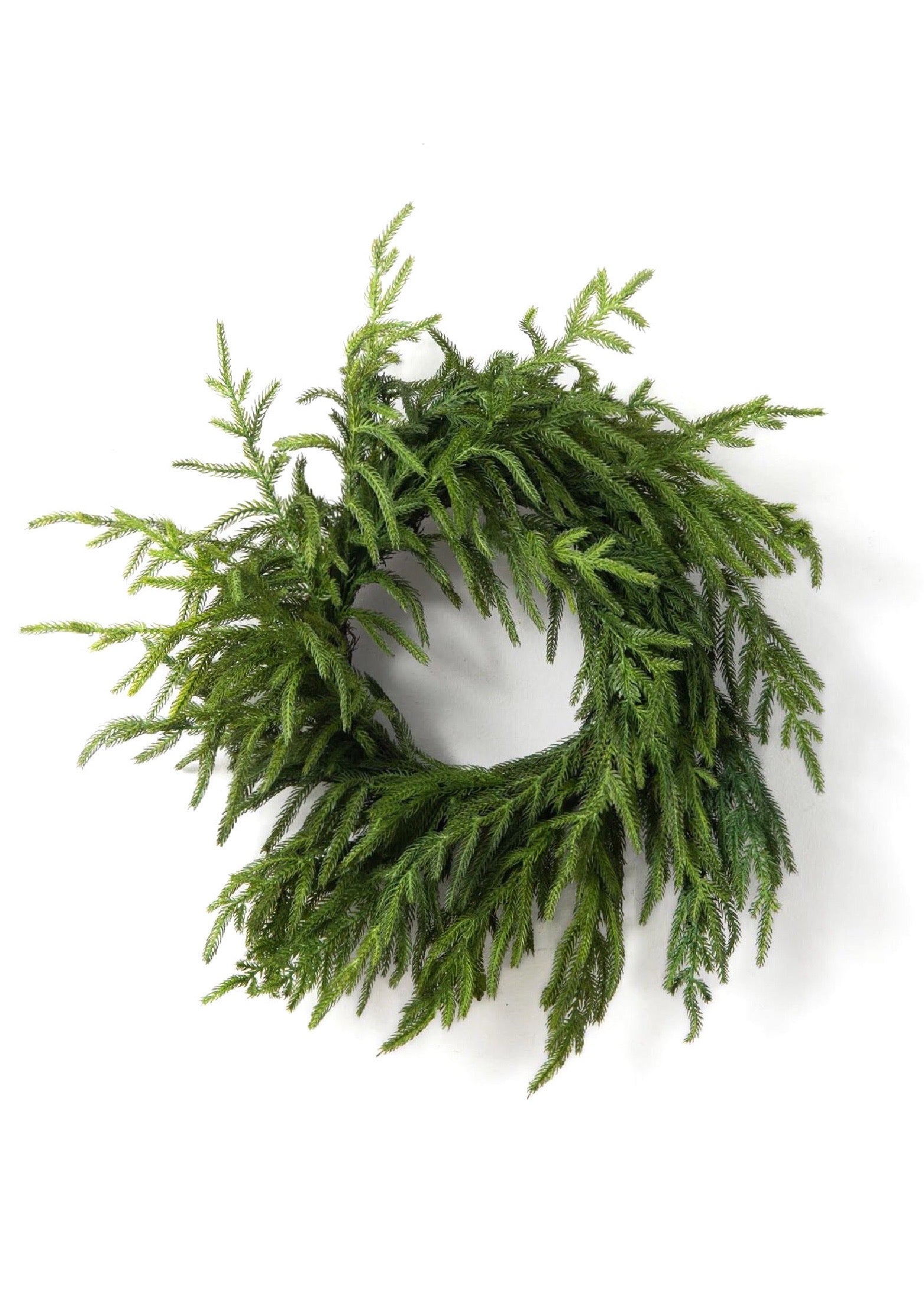 ITEM 81657 - 20" FRESH TOUCH NORFOLK PINE WREATH