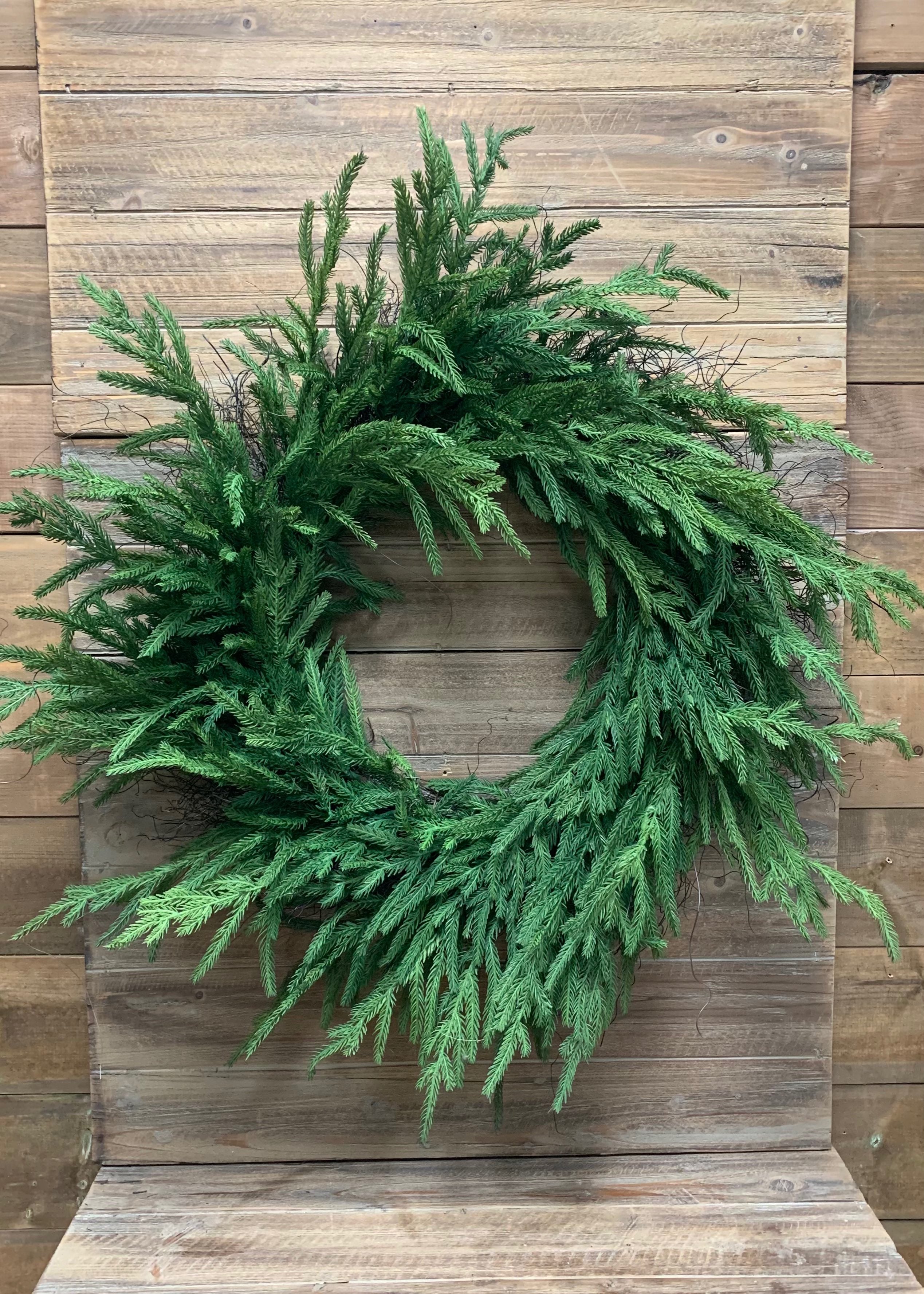ITEM 81659 - 12" INSIDE DIM, 24" OUTSIDE DIM, FRESH TOUCH NORFOLK PINE WREATH ON NATURAL FRAME
