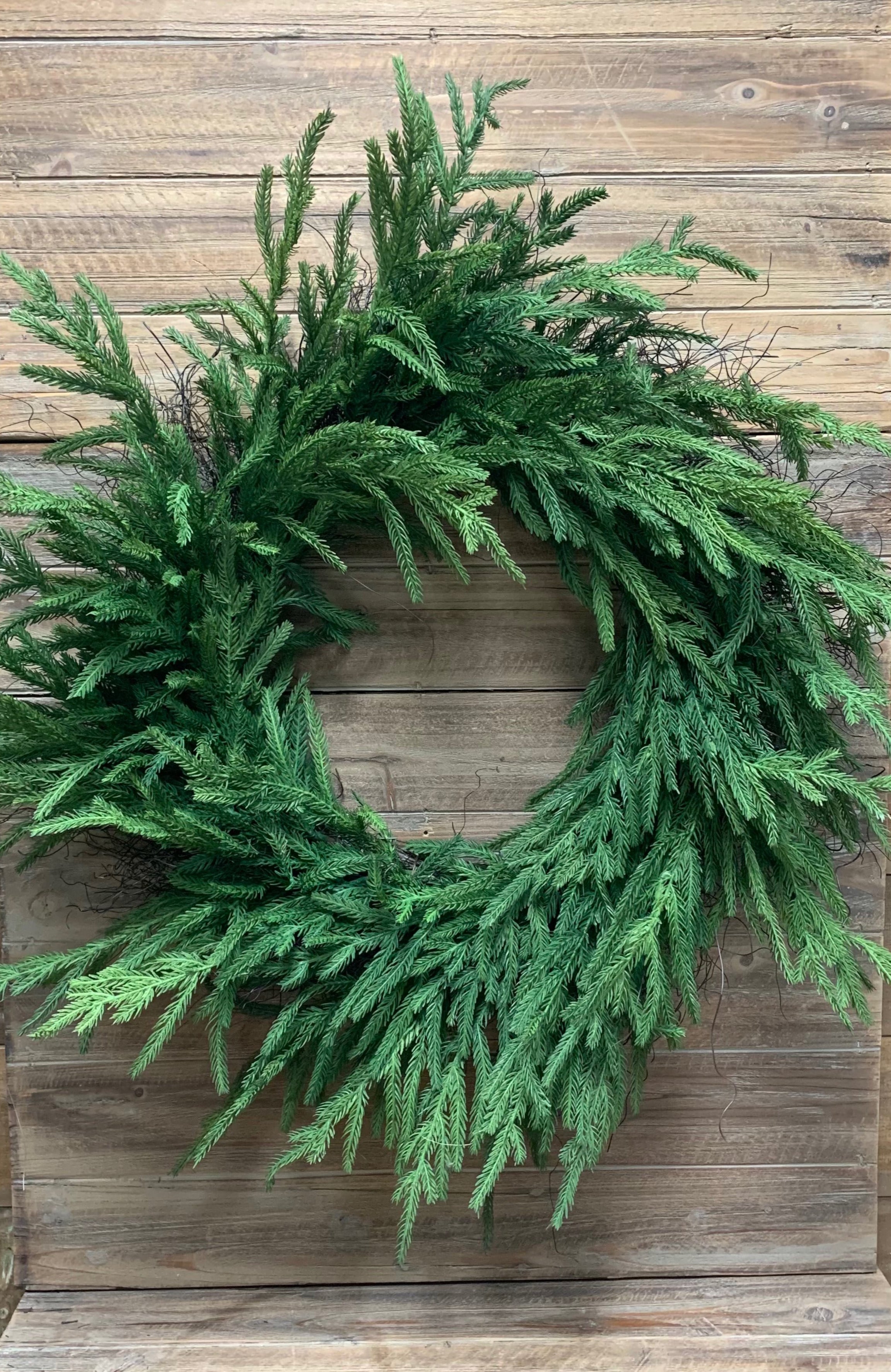 ITEM 81660 - 14" INSIDE DIM, 30" OUTSIDE DIM, FRESH TOUCH NORFOLK PINE WREATH ON NATURAL FRAME
