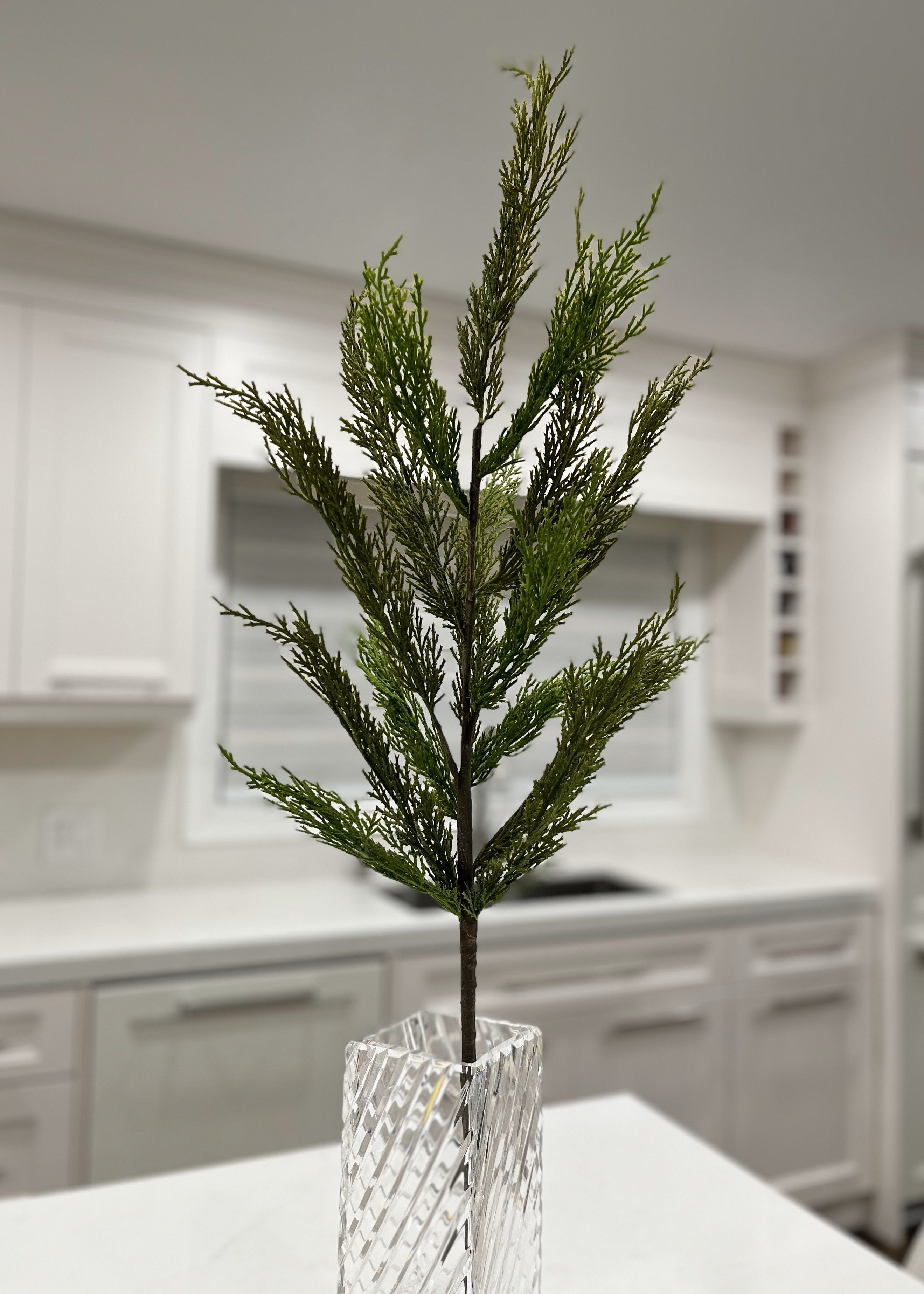 ITEM 81670 - 36” FRESH TOUCH WHISPY CEDAR BRANCH