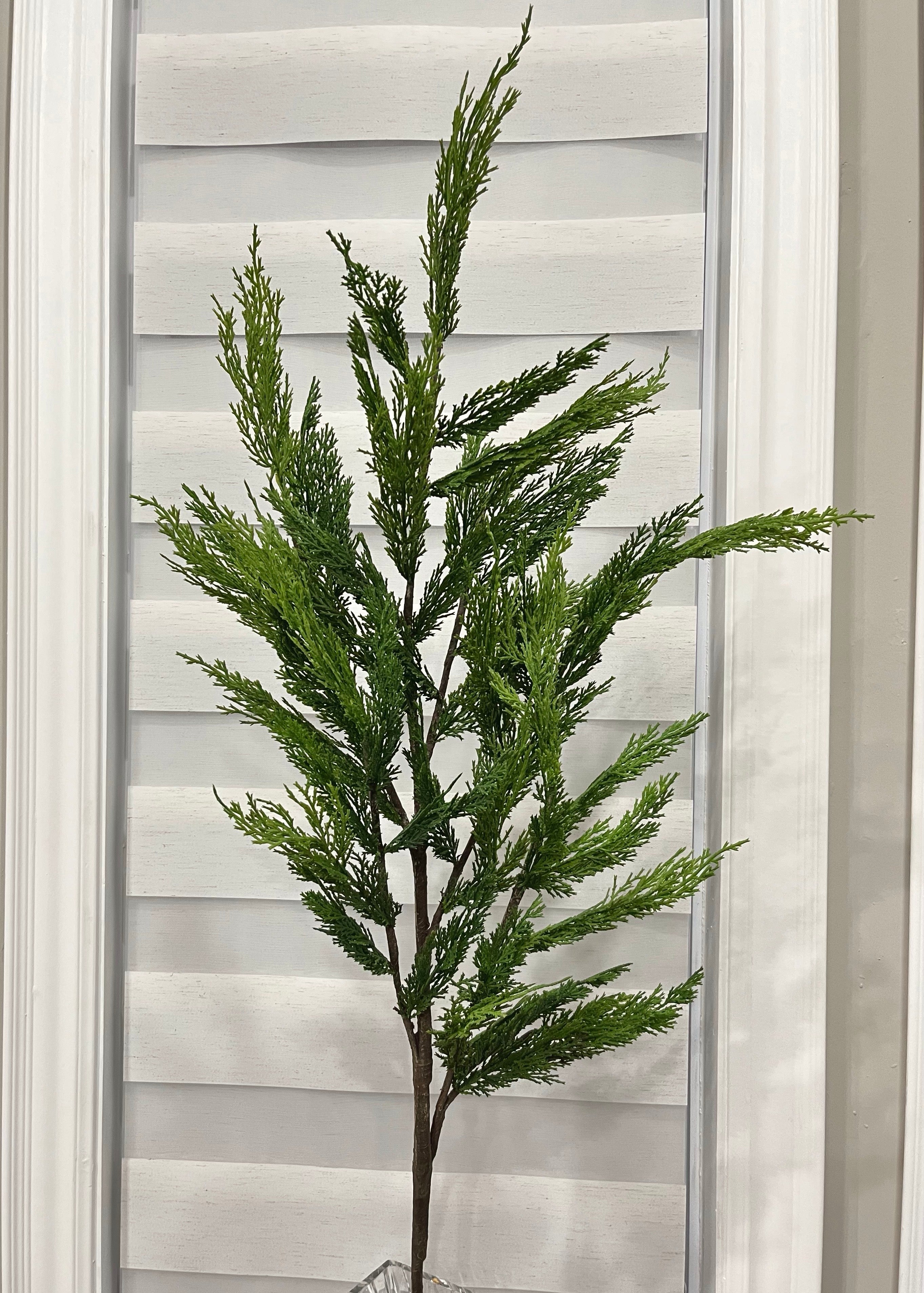 ITEM 81671 - 48” FRESH TOUCH WHISPY CEDAR BRANCH