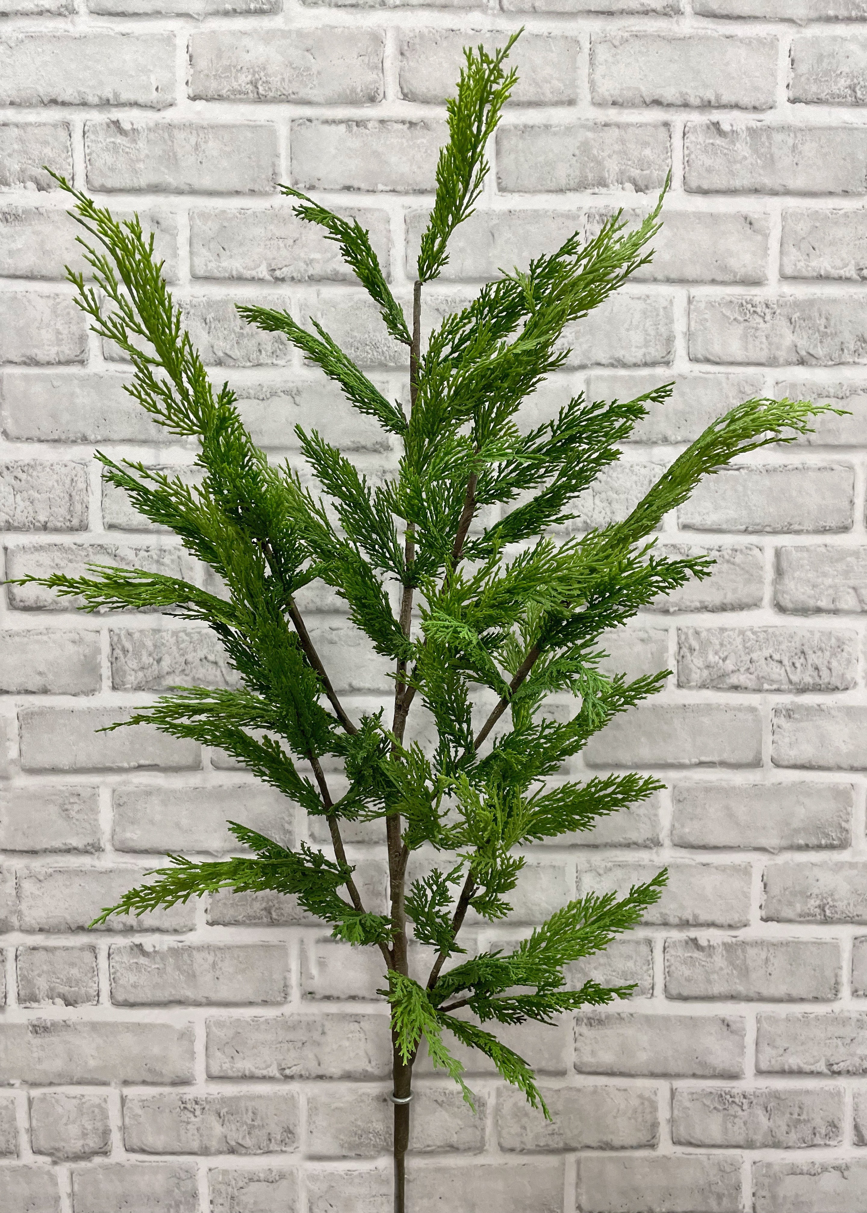 ITEM 81671 - 48” FRESH TOUCH WHISPY CEDAR BRANCH