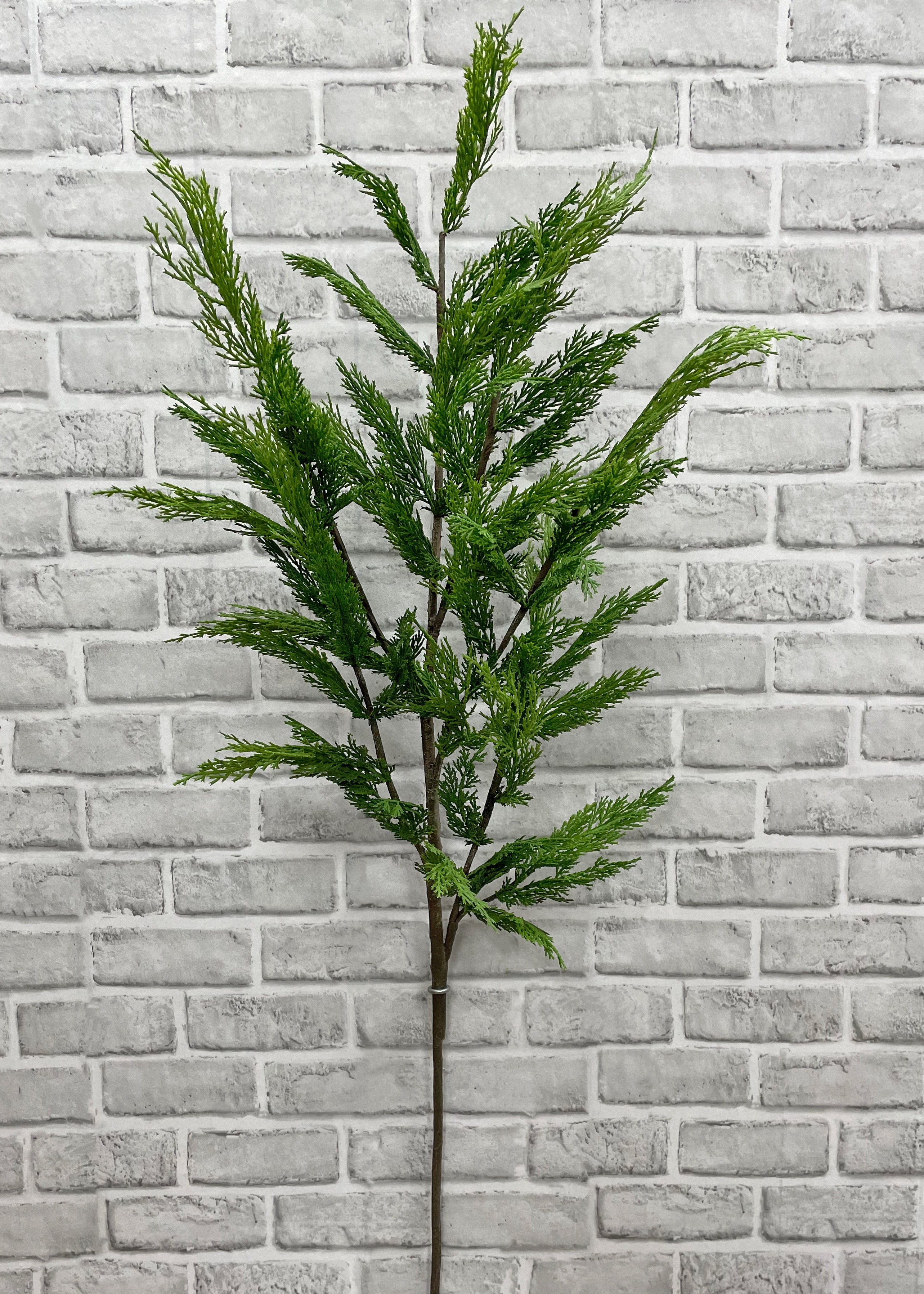 ITEM 81671 - 48” FRESH TOUCH WHISPY CEDAR BRANCH