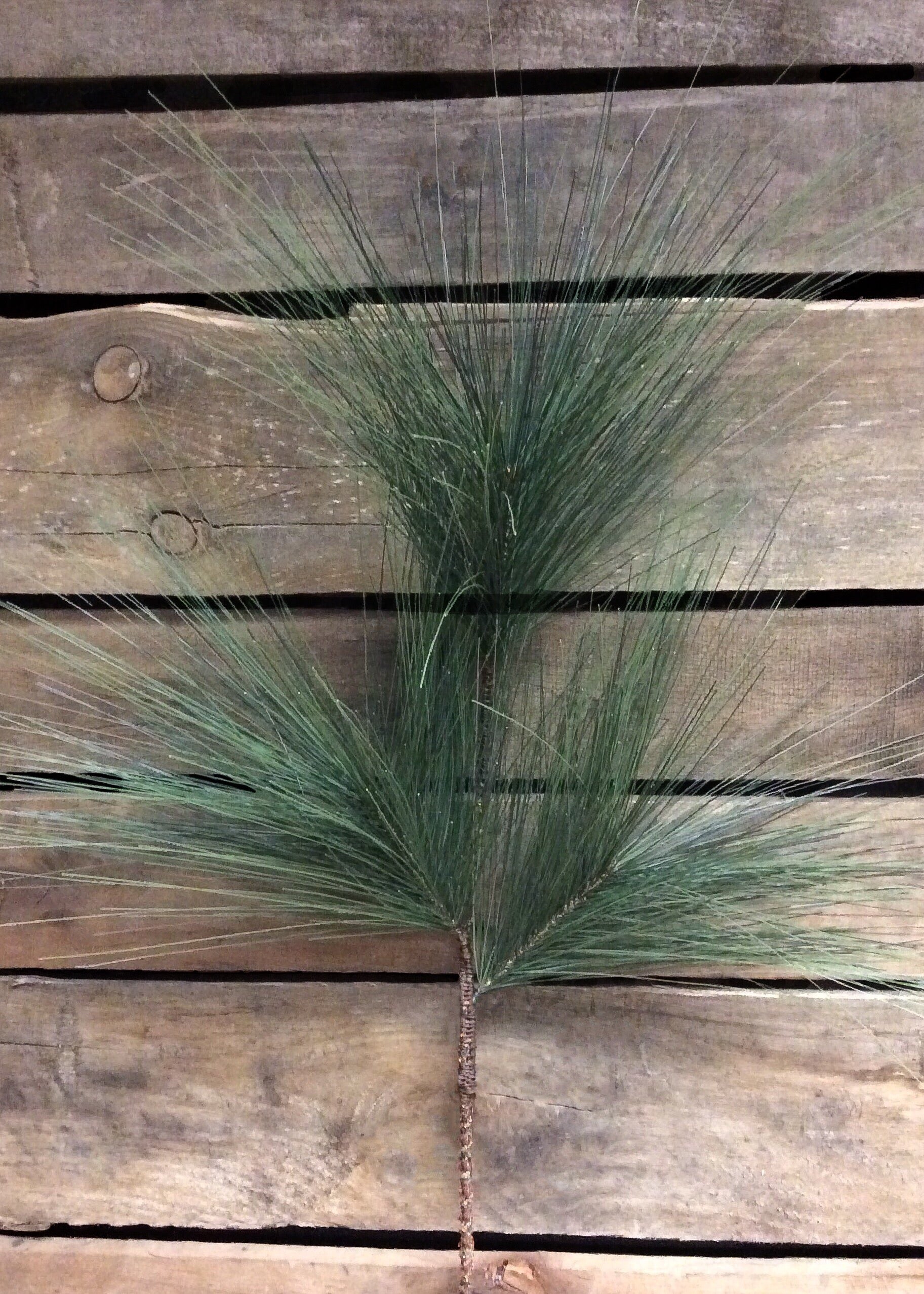 ITEM 81735 - 26" PINE PICK