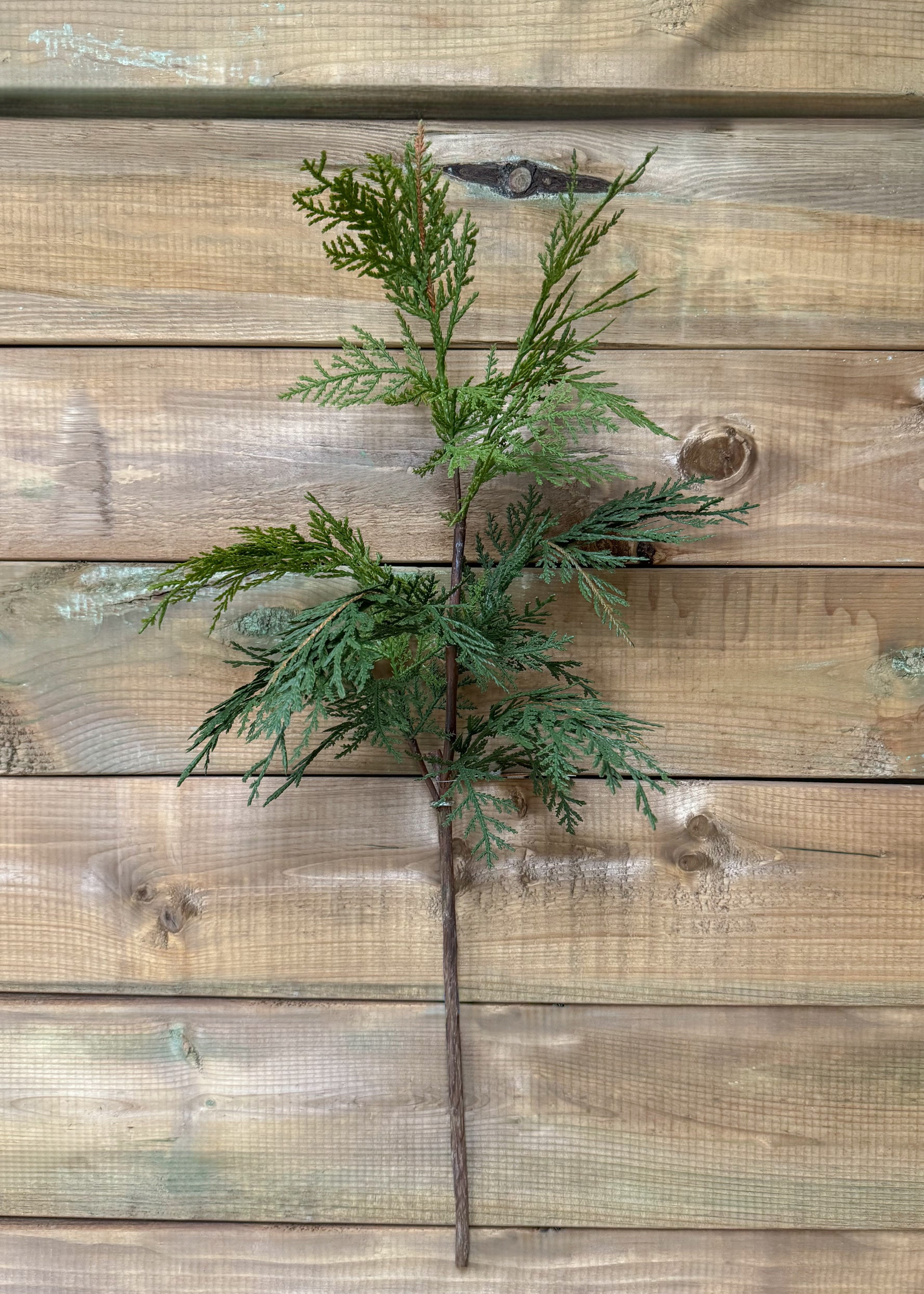 ITEM 81843 - 28" FRESH TOUCH NORTHERN WHITE CEDAR SPRAY