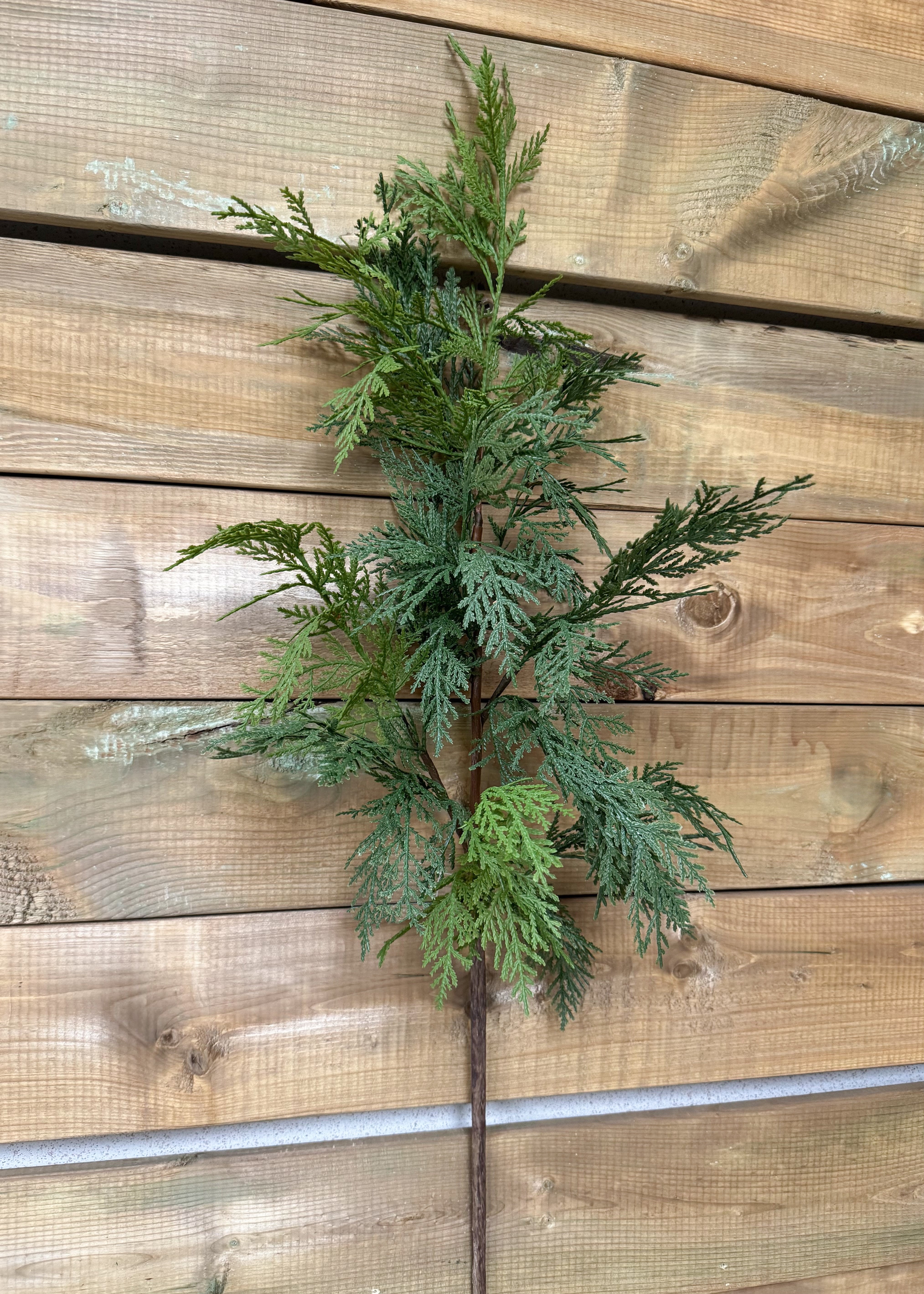 ITEM 81844 - 34" FRESH TOUCH NORTHERN WHITE CEDAR SPRAY