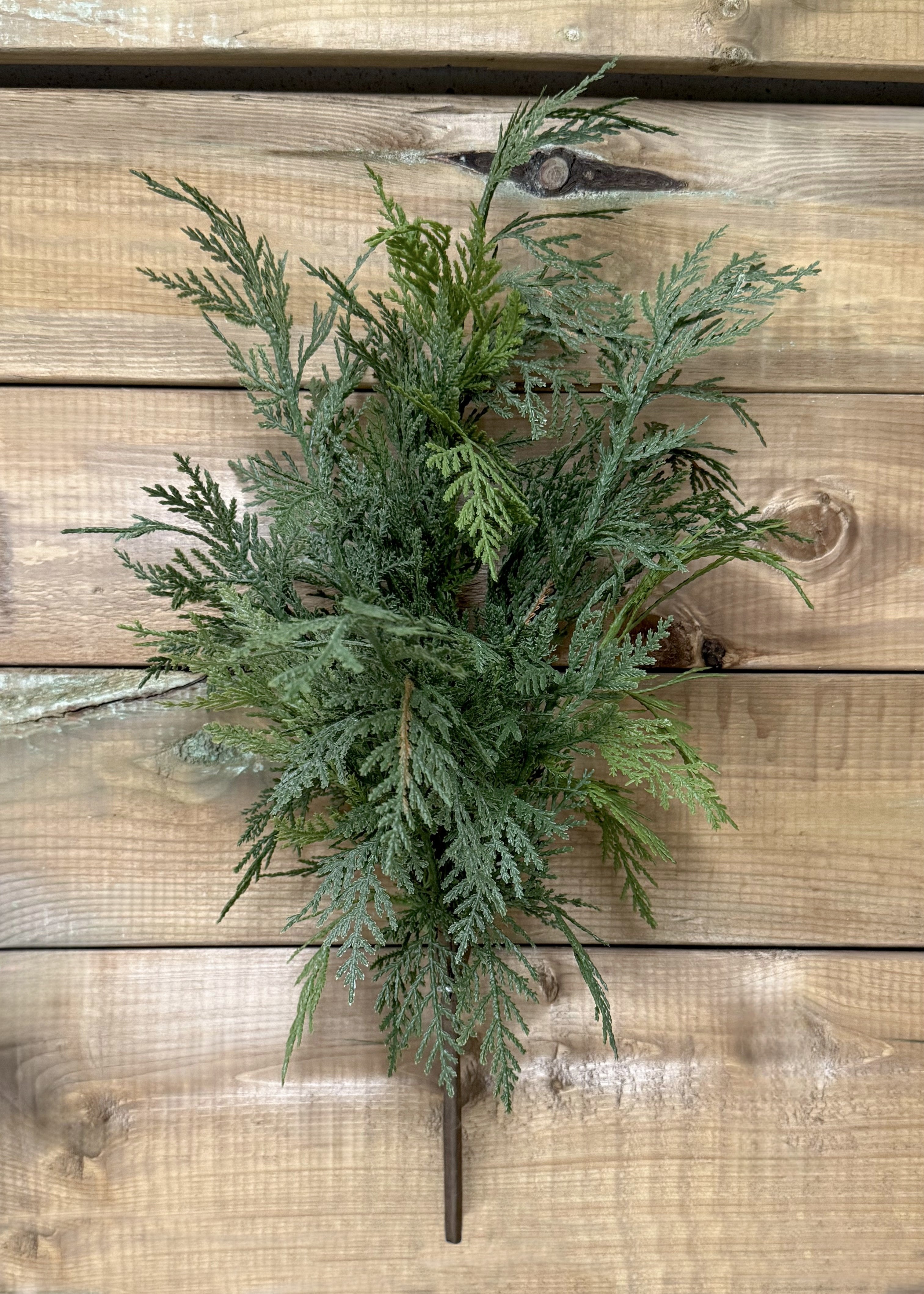 ITEM 81846 - 22" FRESH TOUCH NORTHERN WHITE CEDAR BUSH