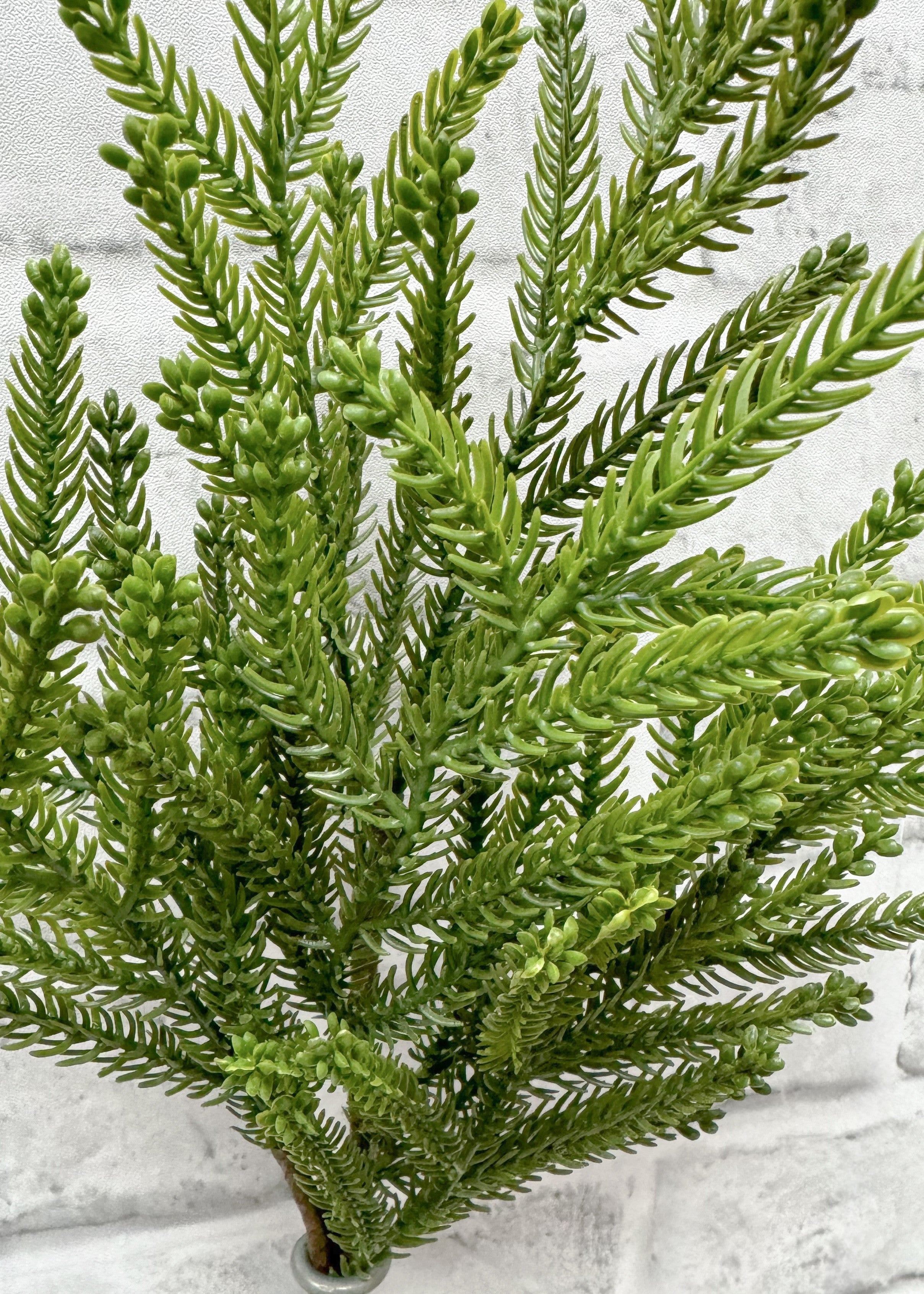 ITEM 81890 - 18.5" FRESH TOUCH PRINCESS PINE SPRAY