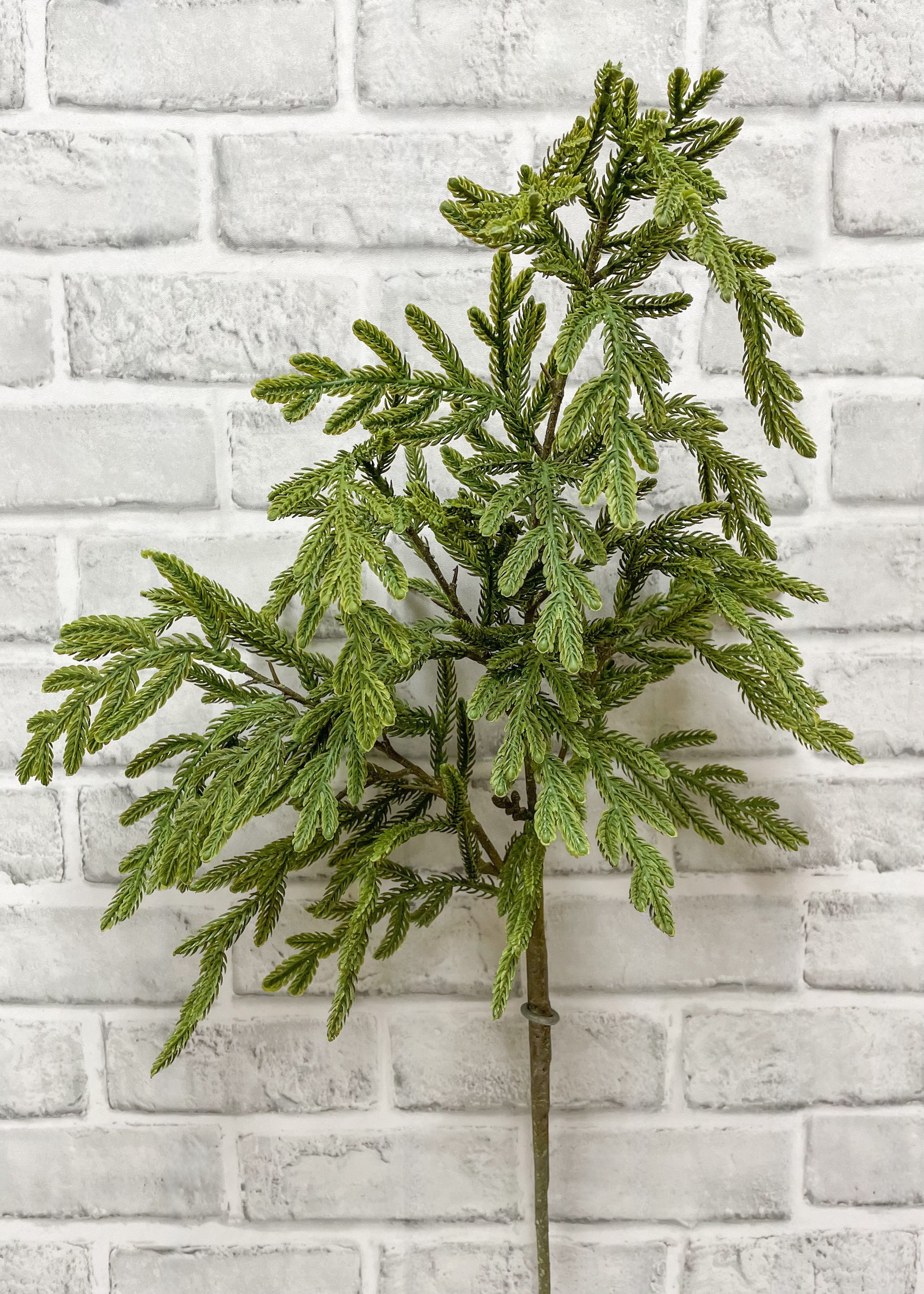 ITEM 81892 - 34" FRESH TOUCH BABY NORFOLK ISLAND PINE SPRAY