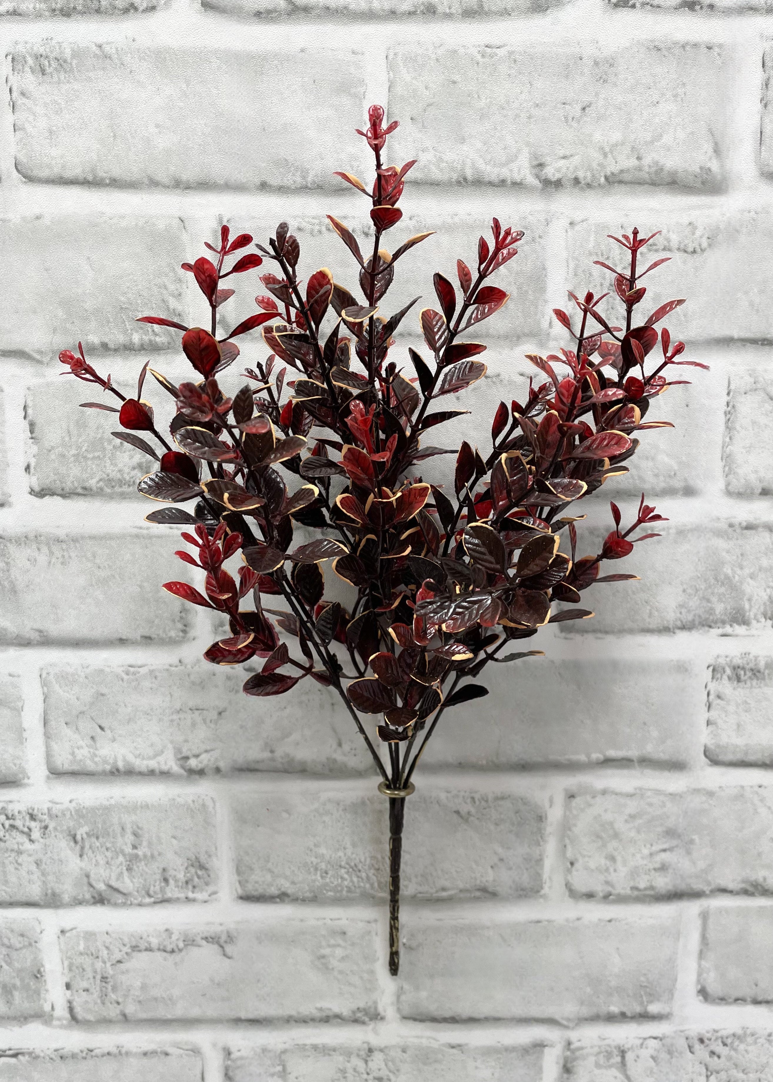 ITEM 81941 - 14" BURGUNDY EUONYMUS BUSH