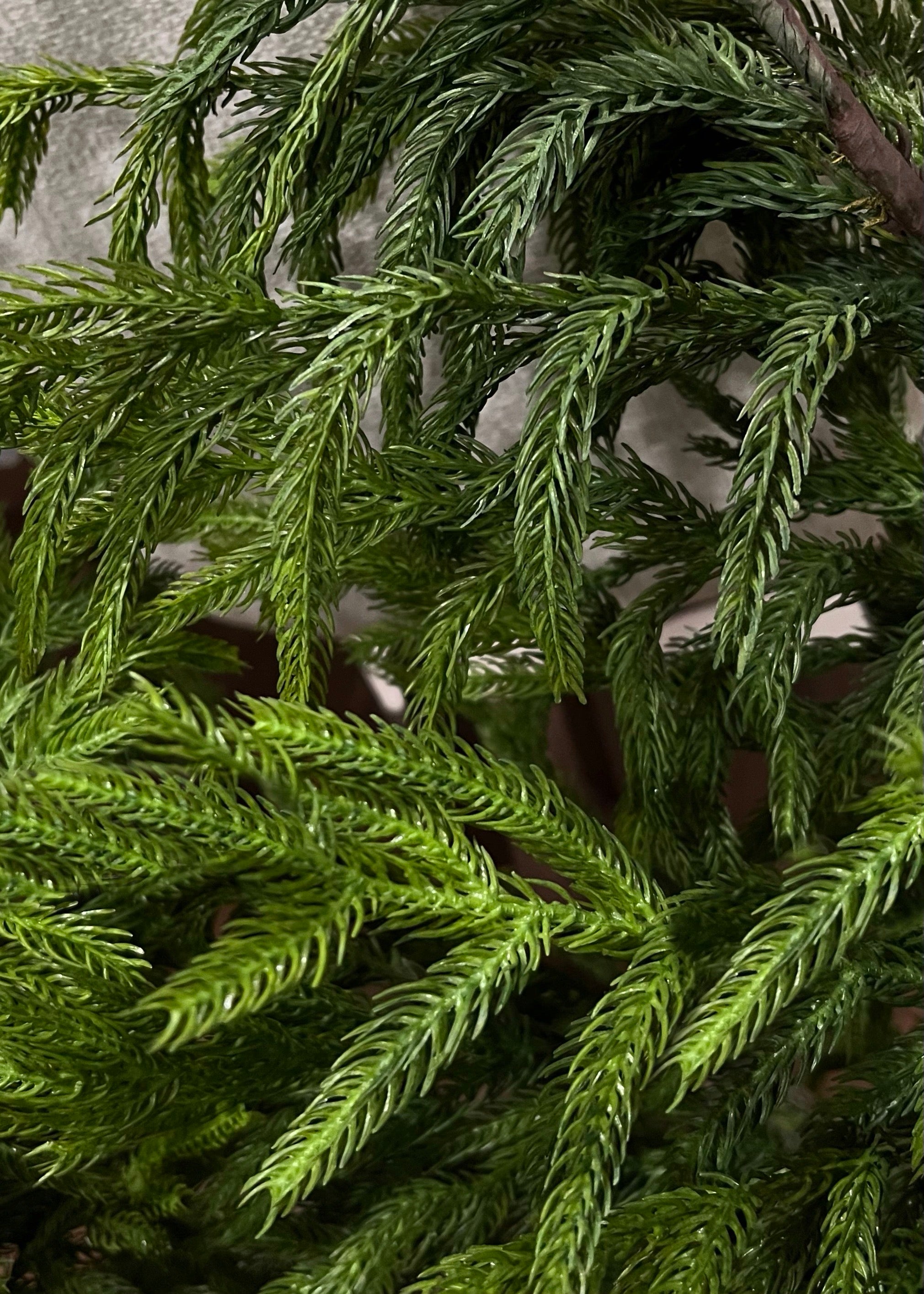 ITEM 81659 - 12" INSIDE DIM, 24" OUTSIDE DIM, FRESH TOUCH NORFOLK PINE WREATH ON NATURAL FRAME