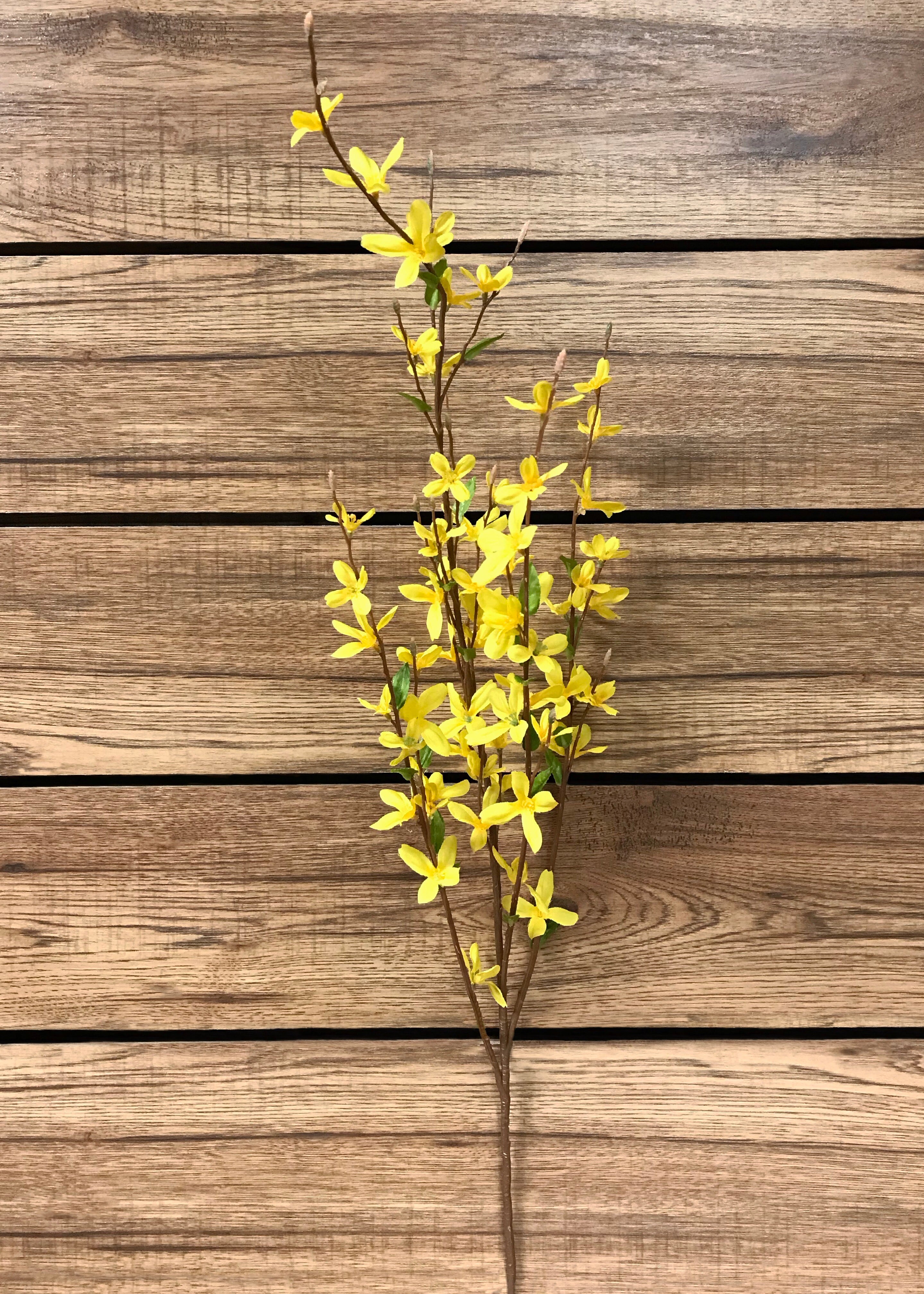 ITEM 00954 - 38" FORSYTHIA SPRAY X 4