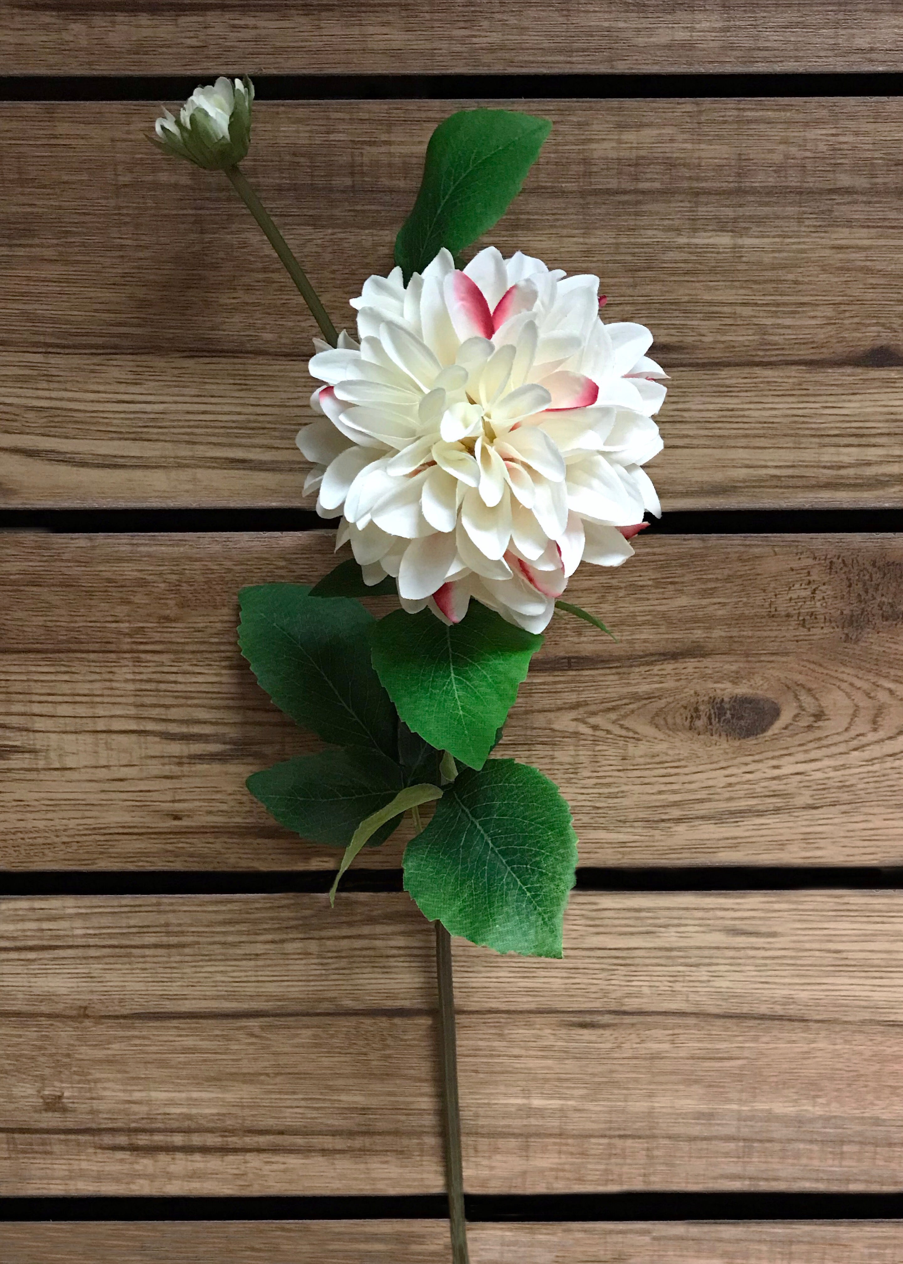 ITEM 00960 WPK - 29" WHITE PINK DAHLIA SPRAY