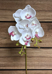 ITEM 00970 WLV - 27.5" WHITE LAVENDER PHALAENOPSIS ORCHID SPRAY WITH COATING