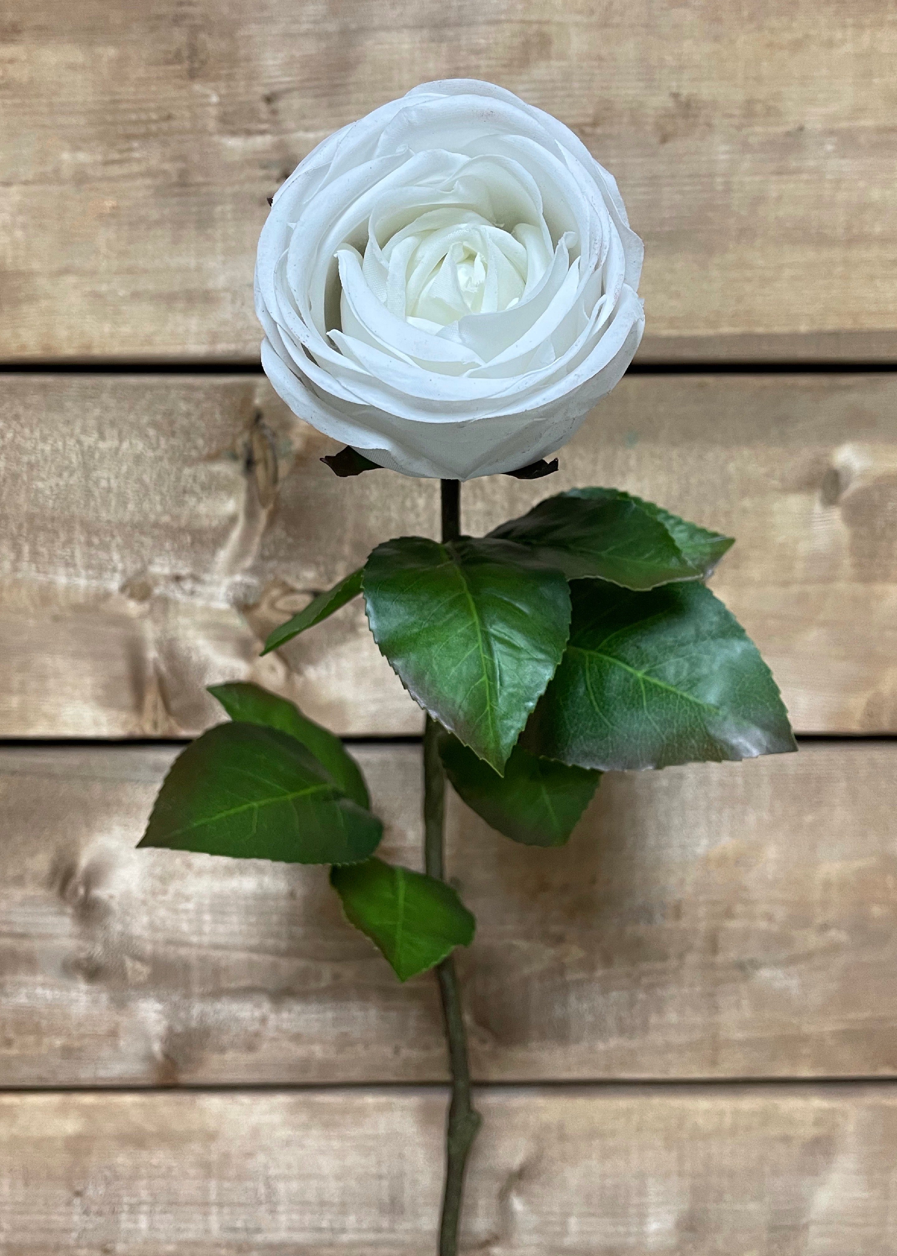 ITEM 00981 W - 29" WHITE FRESH TOUCH CABBAGE ROSE SPRAY