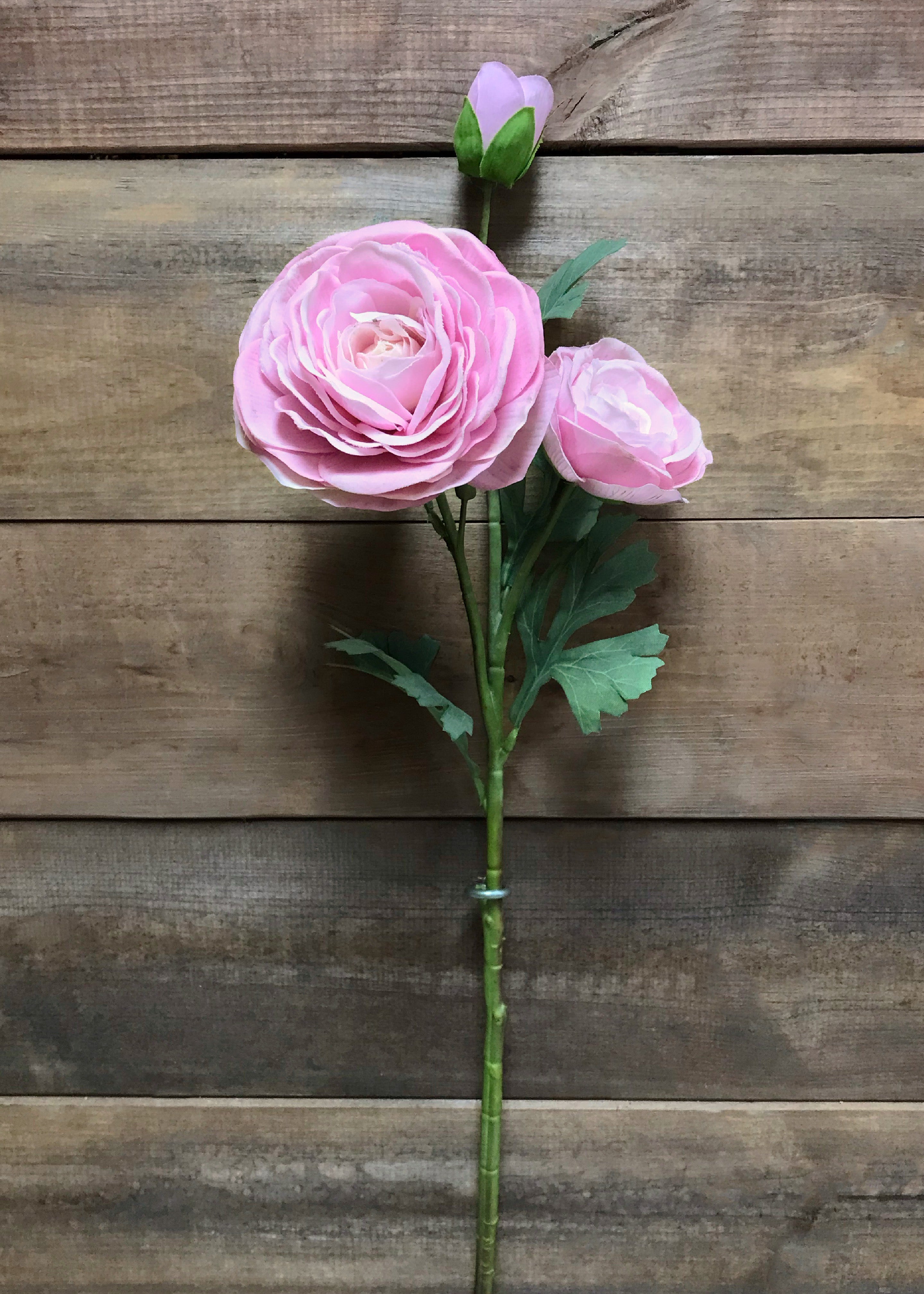 ITEM 00983 PK - 24" PINK FRESH TOUCH RANUNCULUS SPRAY