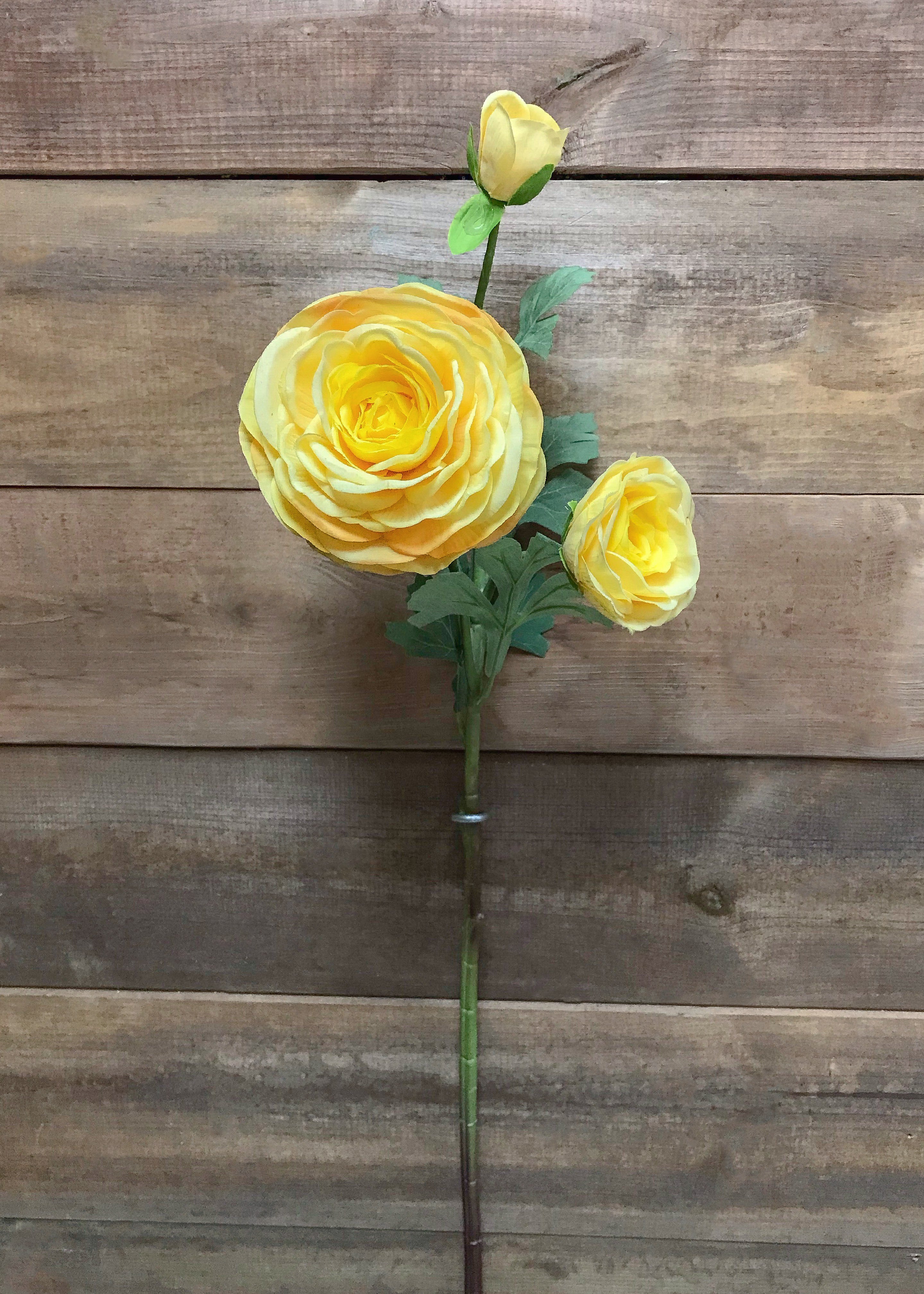 ITEM 00983 Y - 24" YELLOW FRESH TOUCH RANUNCULUS SPRAY
